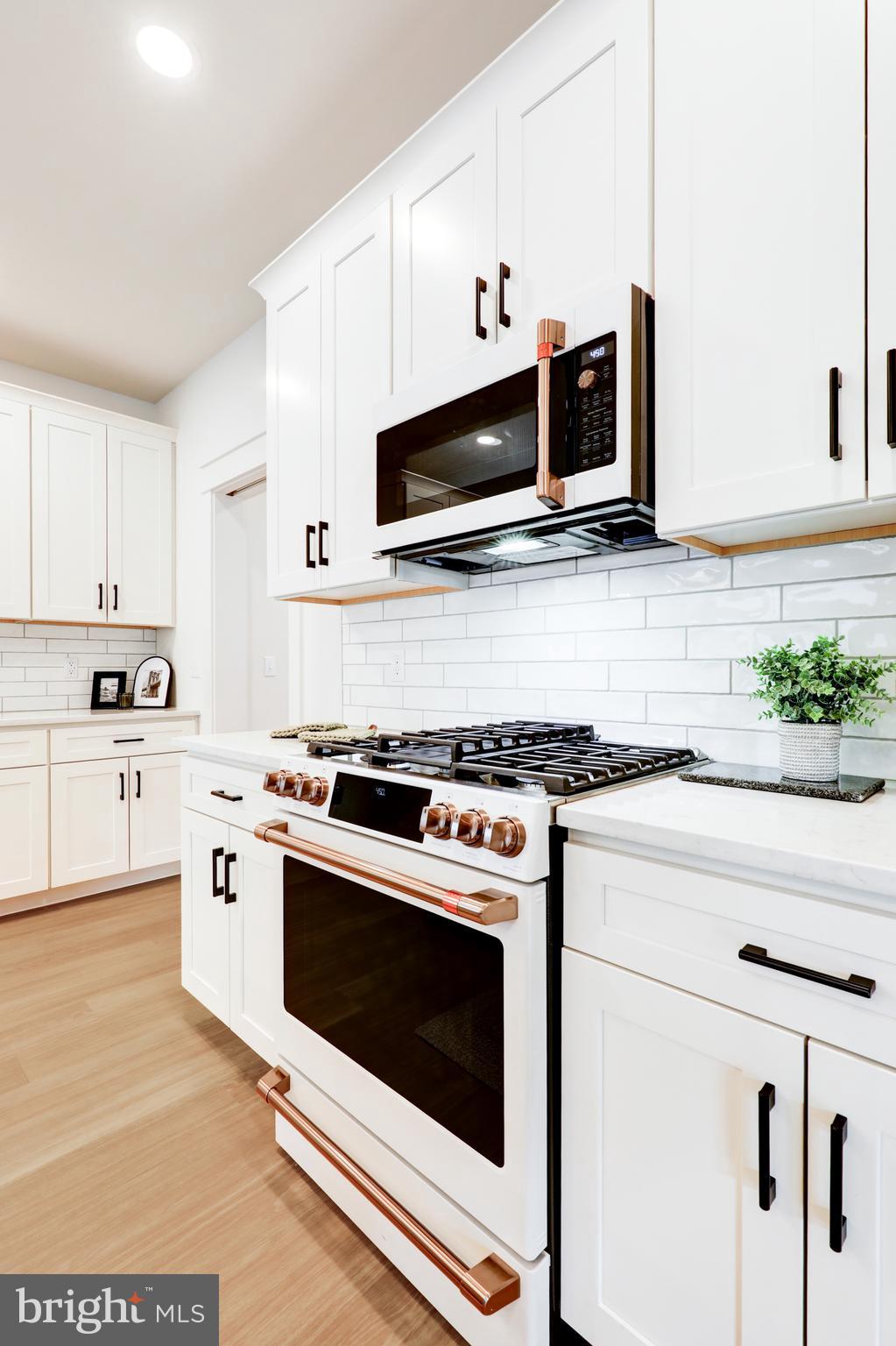 PARKSIDE AT LAMPETER - Residential