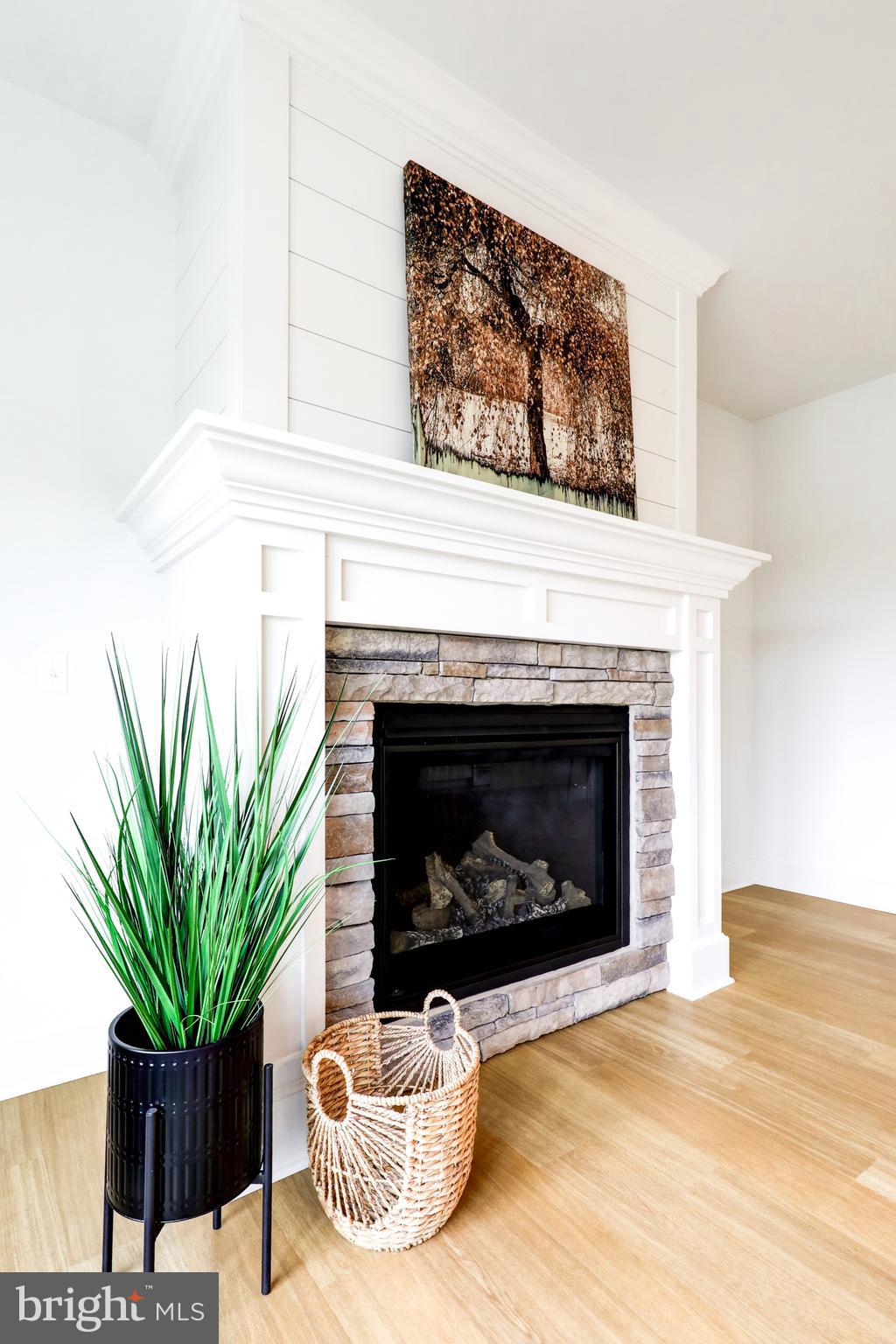 PARKSIDE AT LAMPETER - Residential