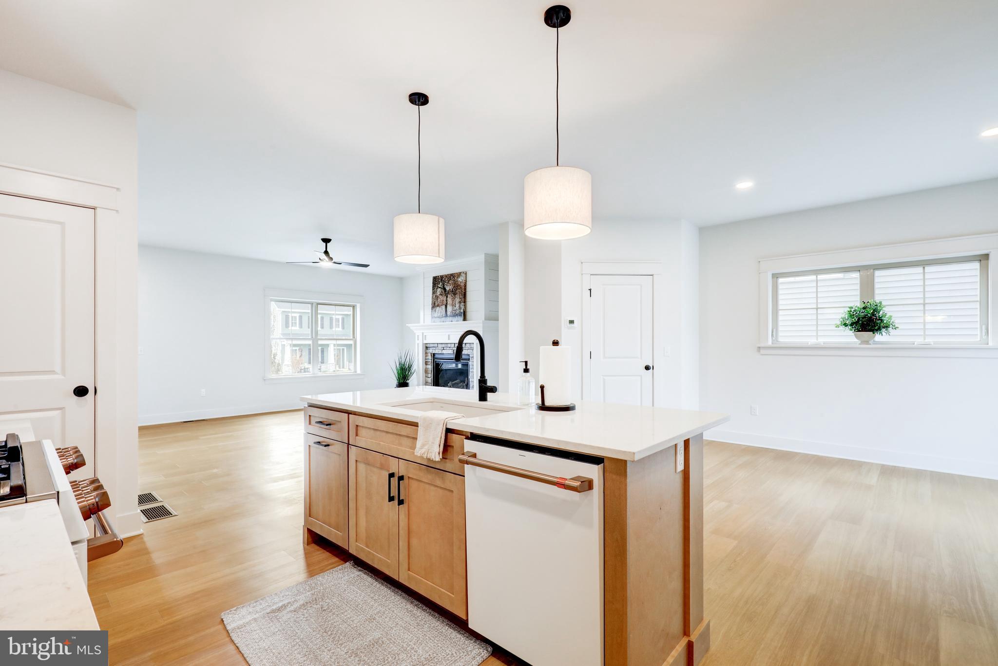 PARKSIDE AT LAMPETER - Residential