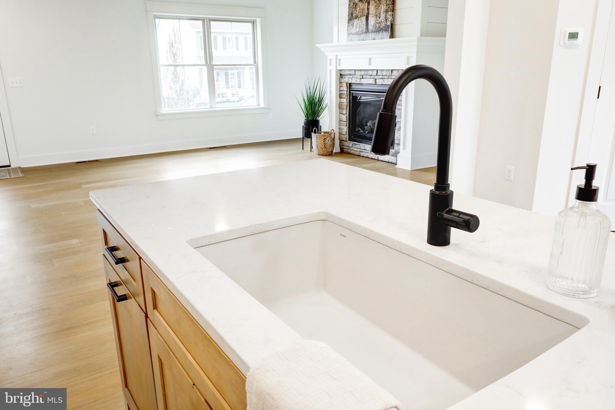 PARKSIDE AT LAMPETER - Residential