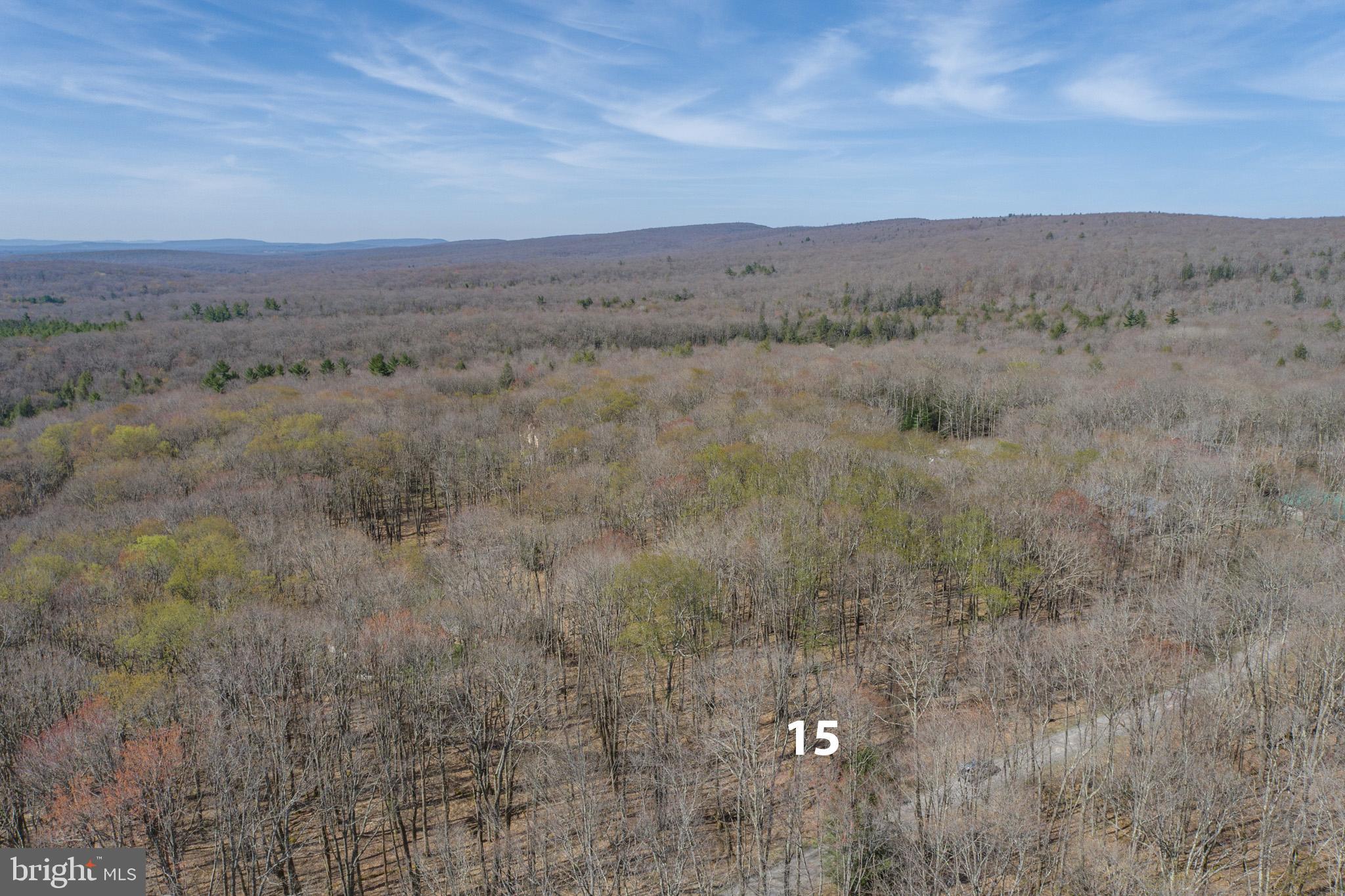 YOUGH MT. RESORT - Land