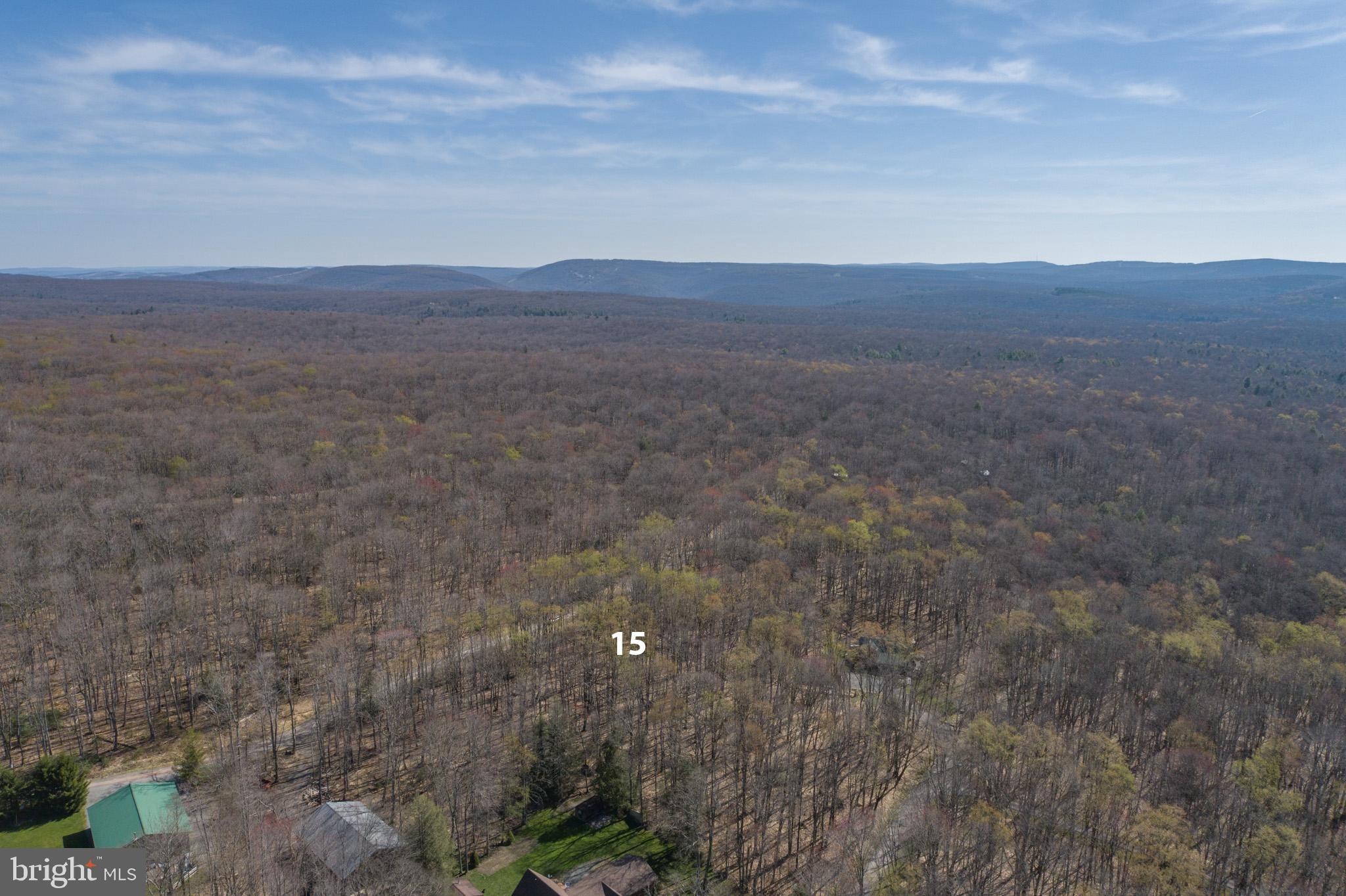 YOUGH MT. RESORT - Land