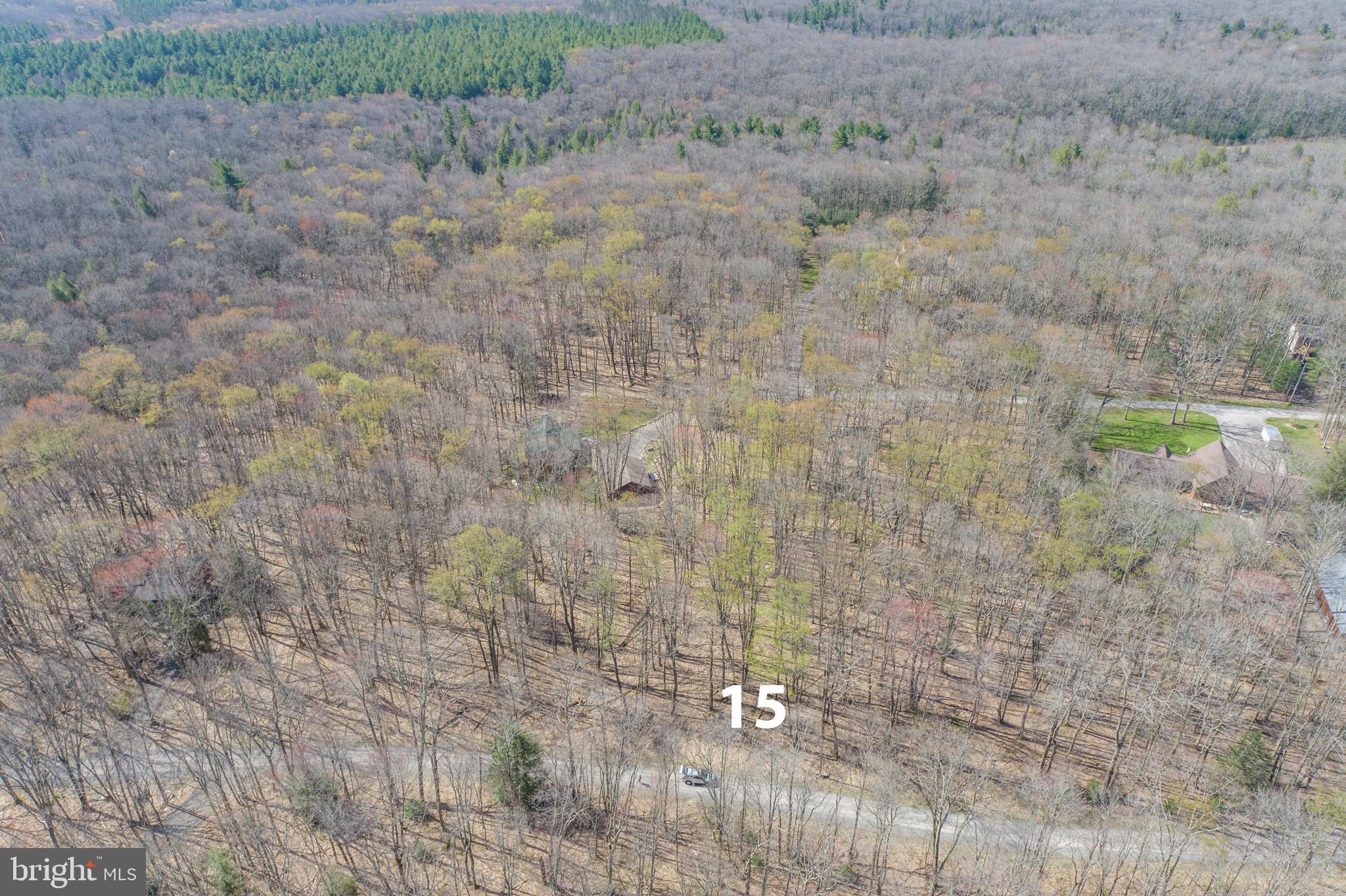 YOUGH MT. RESORT - Land