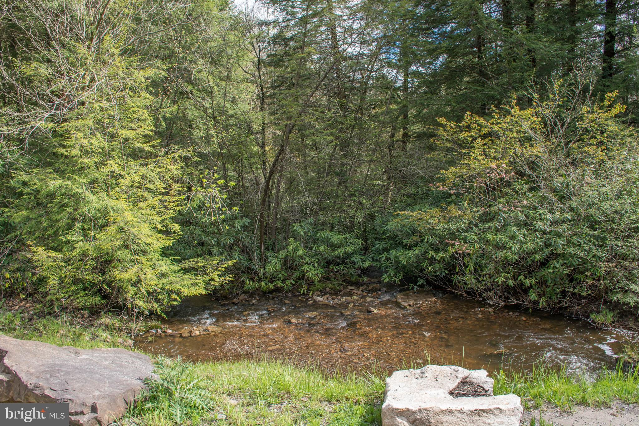 YOUGH MT. RESORT - Land