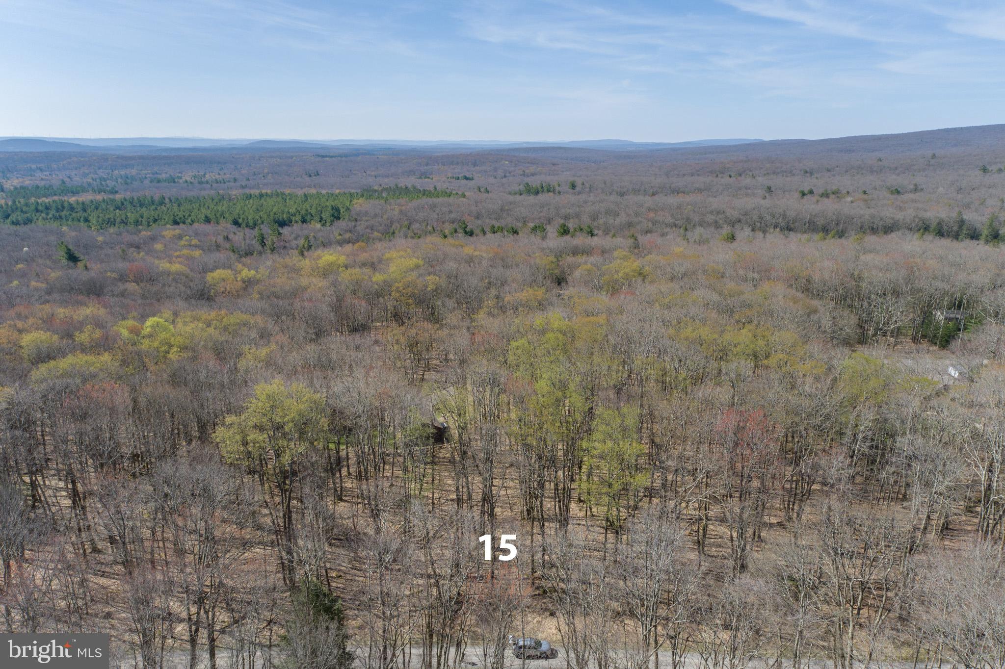 YOUGH MT. RESORT - Land