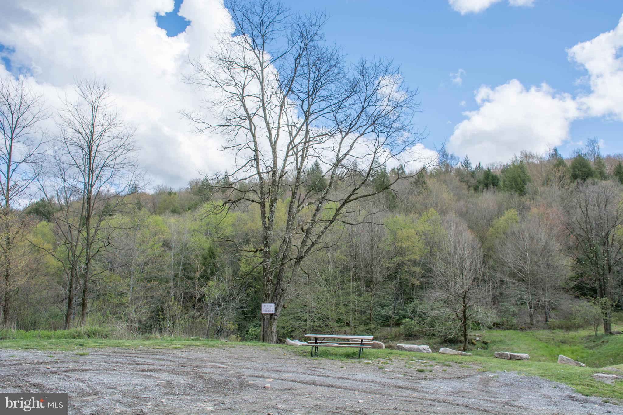 YOUGH MT. RESORT - Land