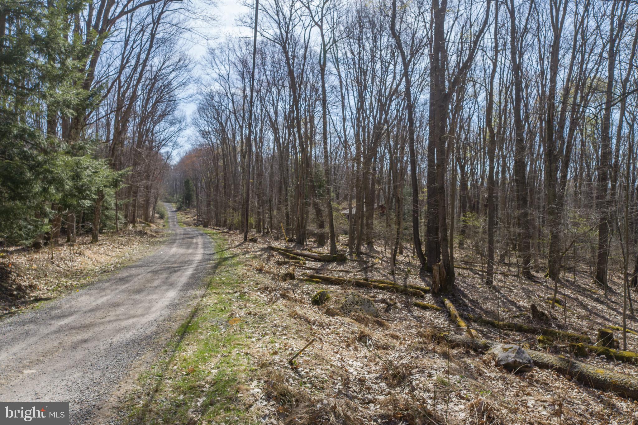 YOUGH MT. RESORT - Land