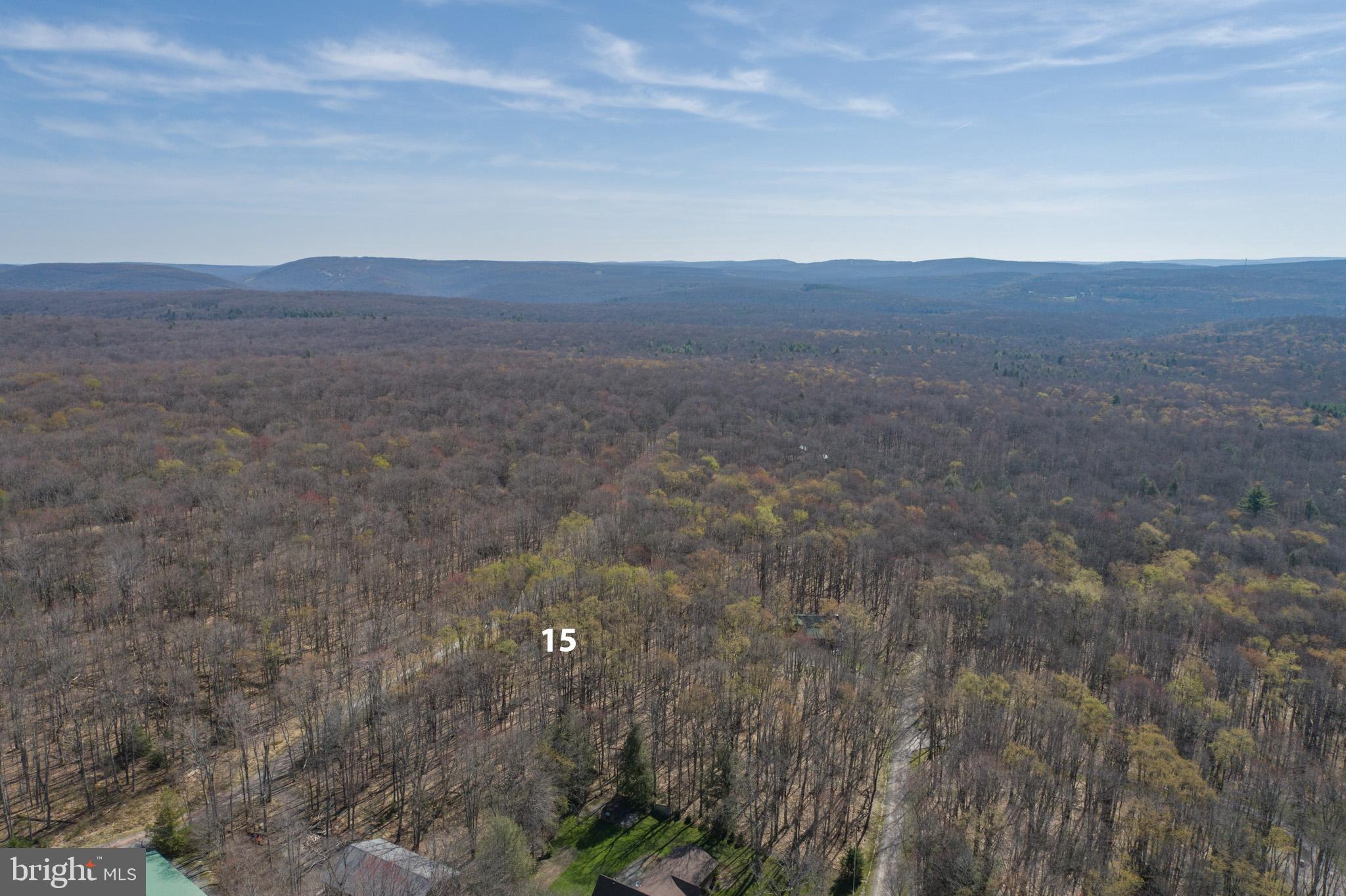 YOUGH MT. RESORT - Land