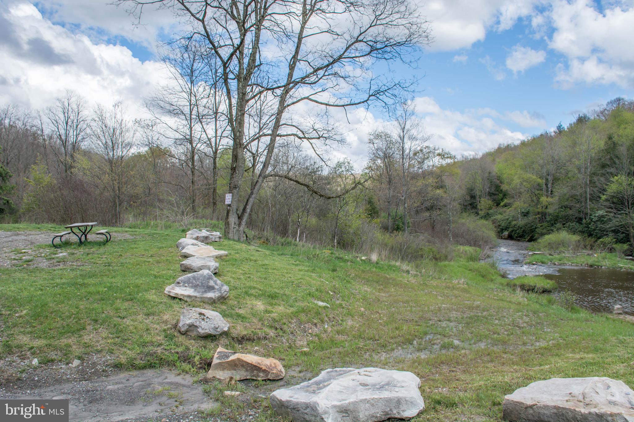 YOUGH MT. RESORT - Land