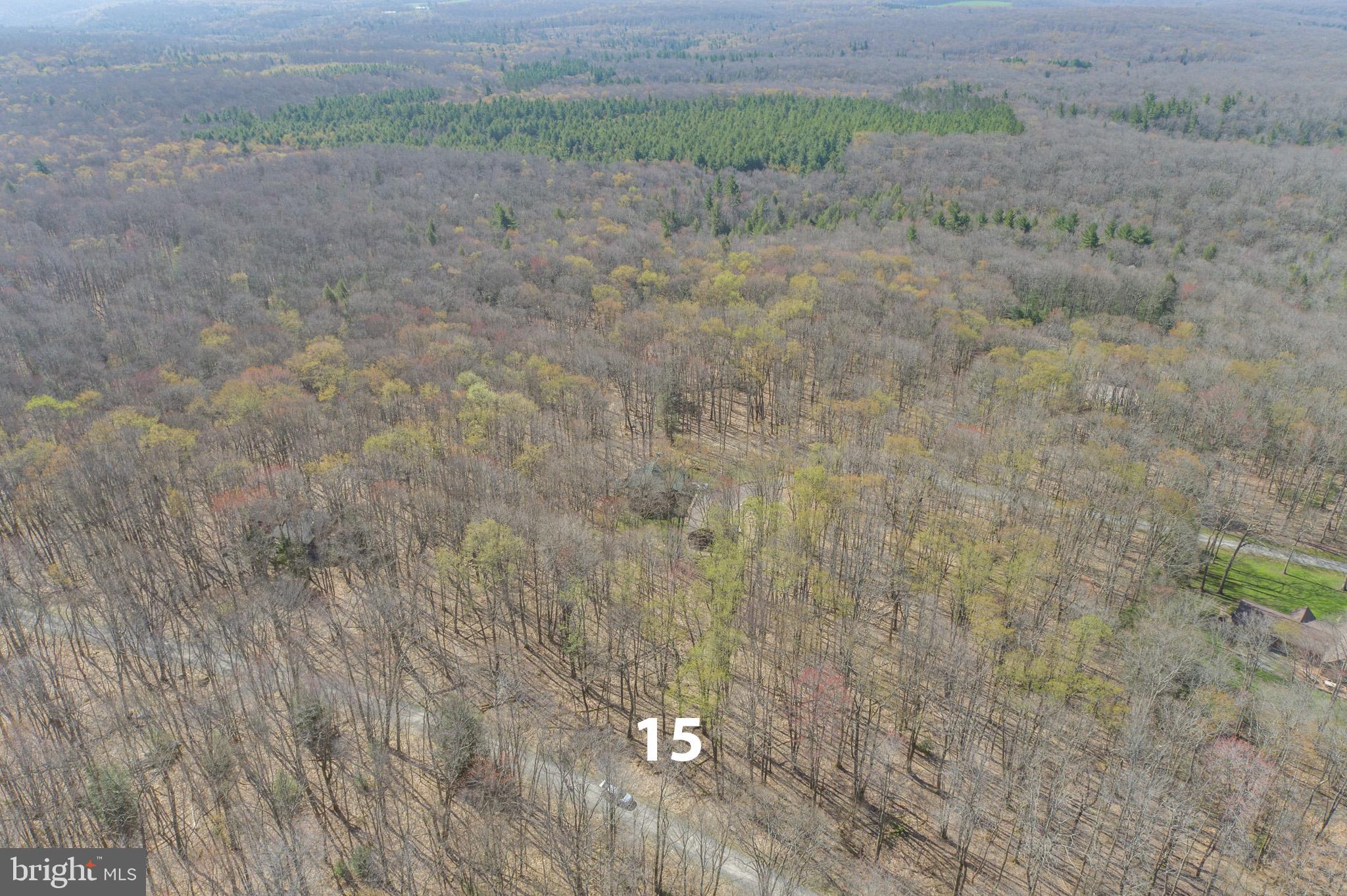 YOUGH MT. RESORT - Land