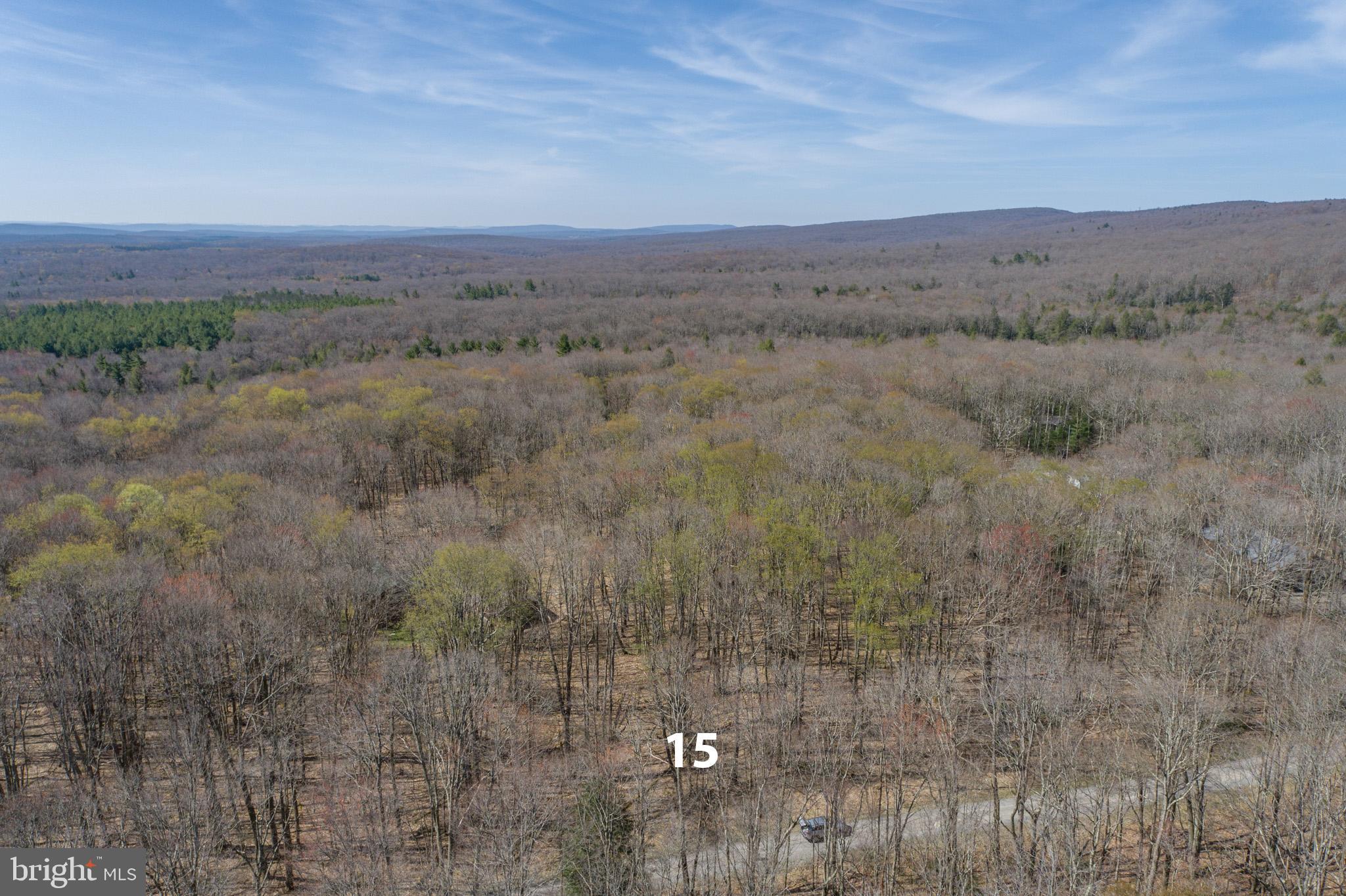 YOUGH MT. RESORT - Land