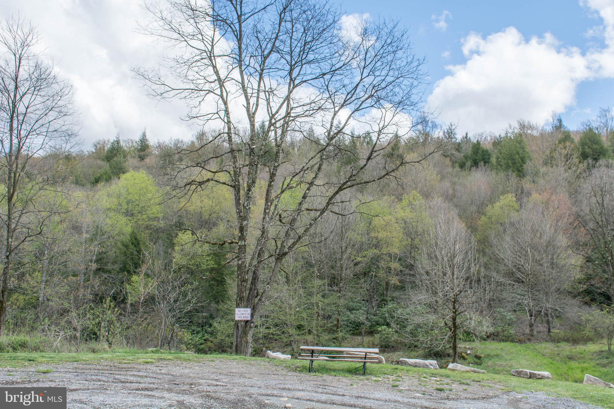 YOUGH MT. RESORT - Land