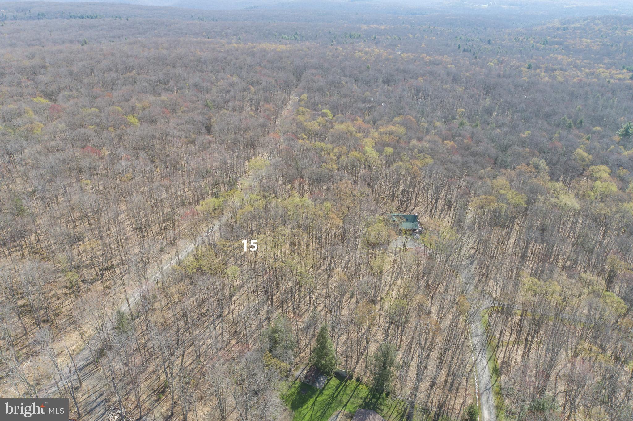 YOUGH MT. RESORT - Land