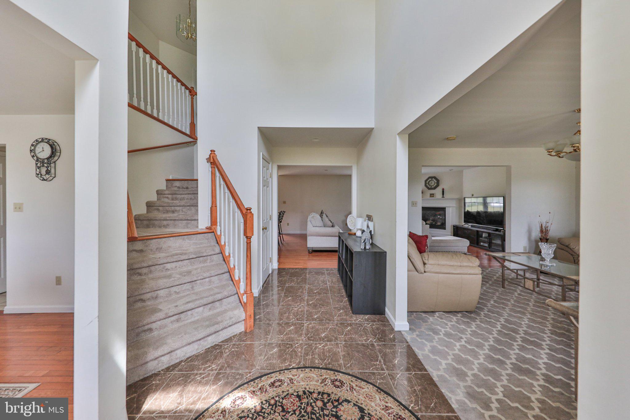 42 LOUIS CIRCLE