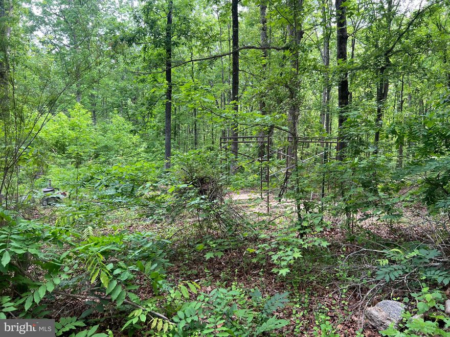5.5 Acres in Spotsylvania County.  All wooded and secluded. Close to the Orange and Spotsylvania county lines.  Singlewide is in poor condition.  Value in the land. As-is sale under special warranty deed.  Inspections under purchaser expense. Hard to find a lot this size in this market today. Purchase it today!!