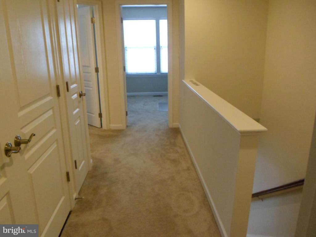 MAGNOLIA PARK AT WILDEWOOD - Residential