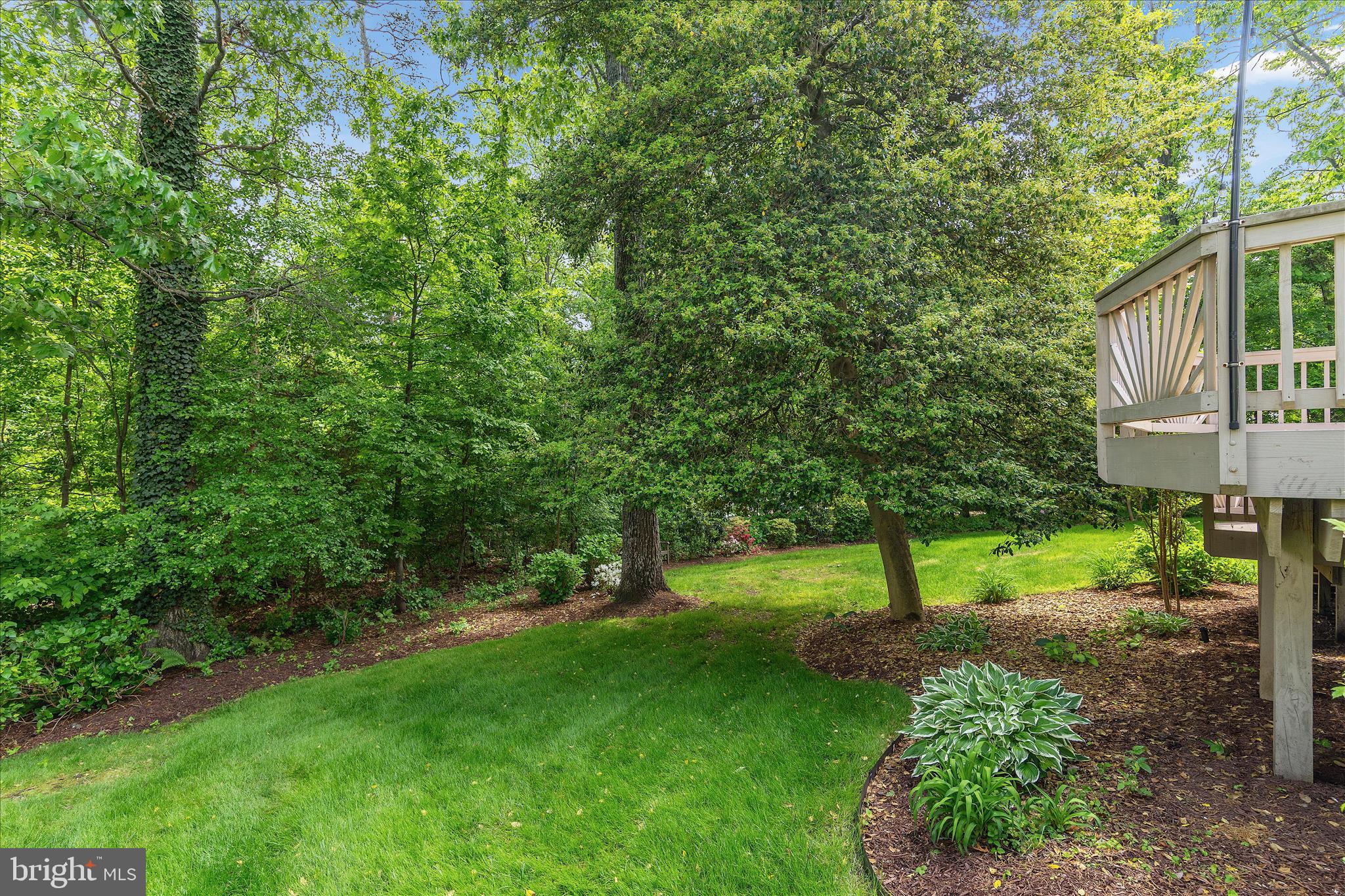 SHIPLEYS CHOICE - Residential