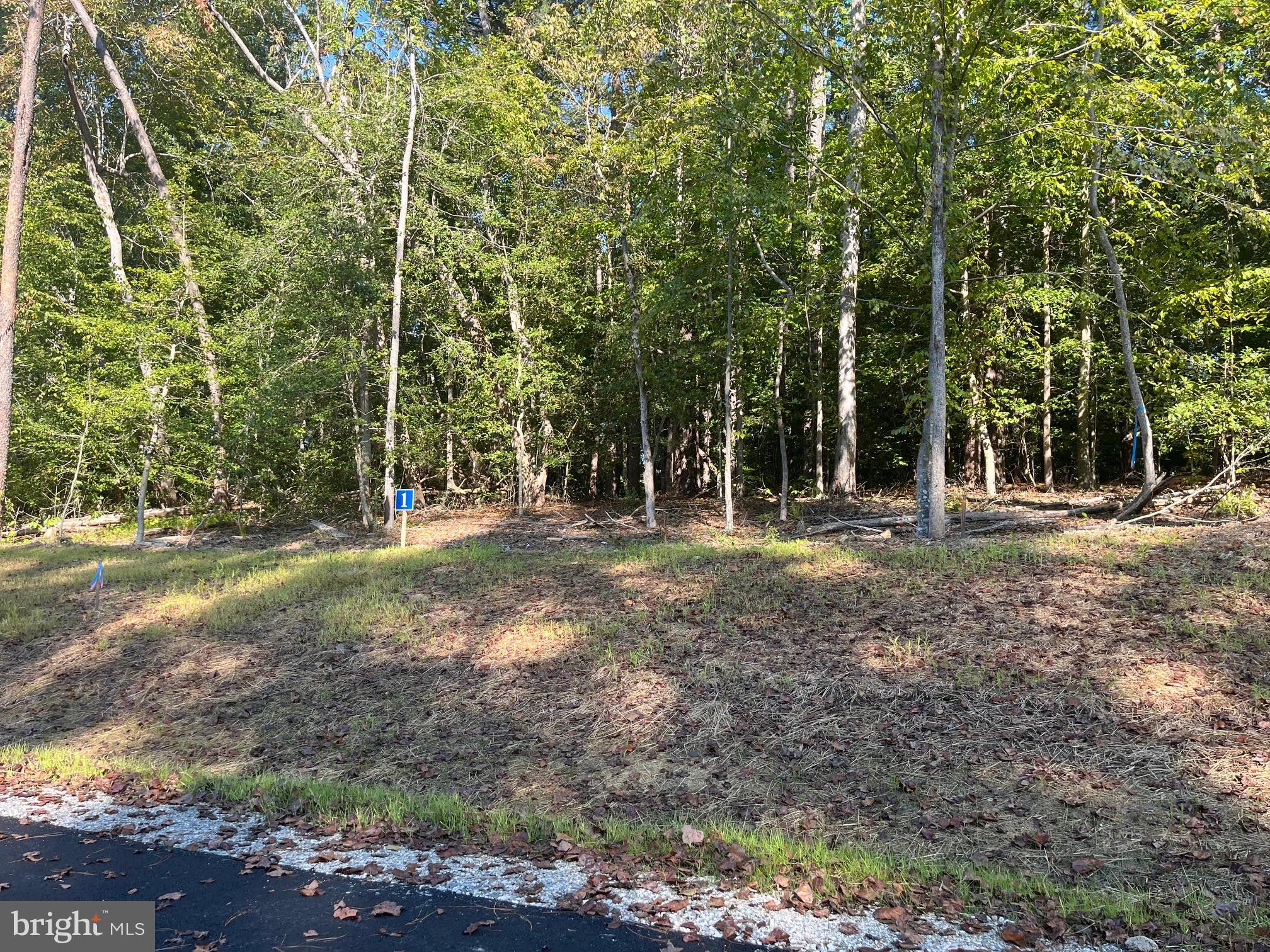 5361 RIDGEWOOD HILLS DRIVE