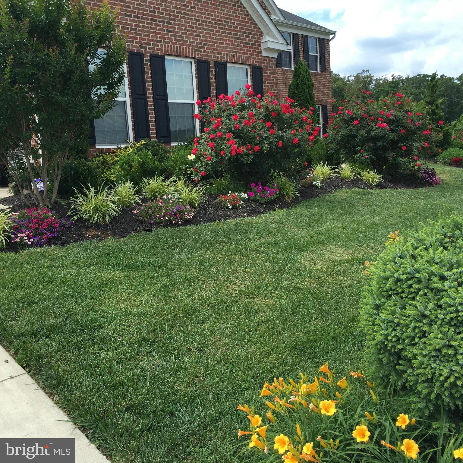 ESTATES AT LEE'S PARKE - Residential