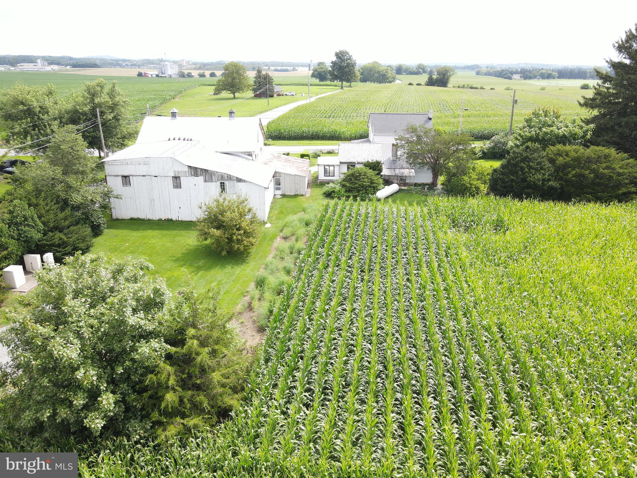 1411 MAYTOWN ROAD