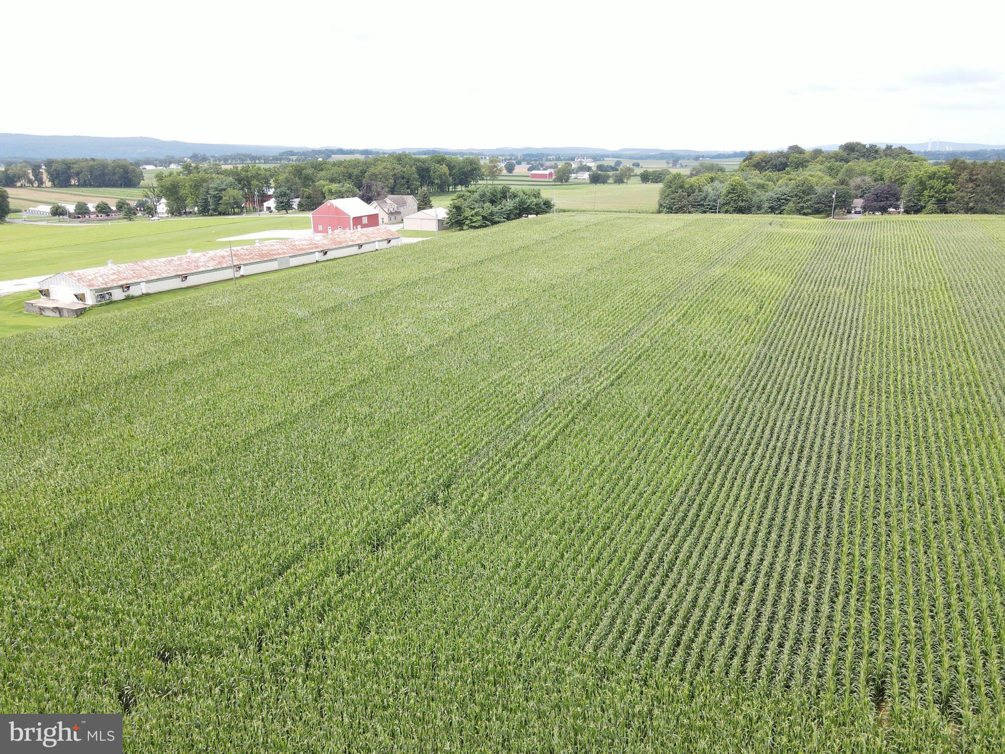 NONE AVAILABLE - Farm