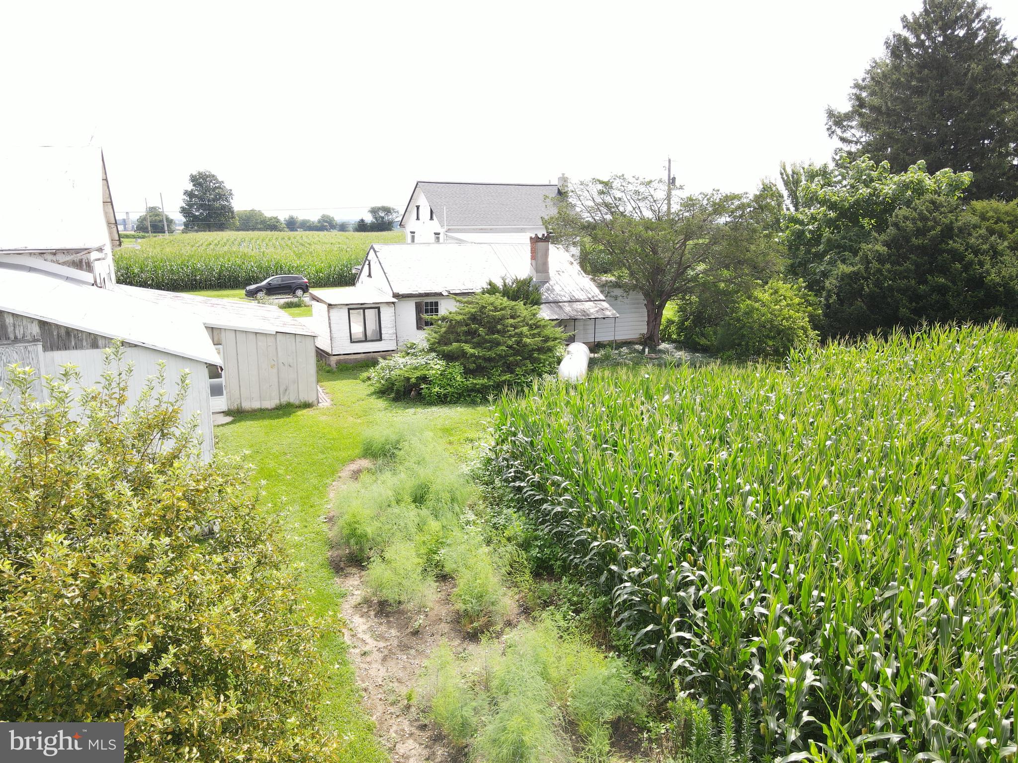 NONE AVAILABLE - Farm