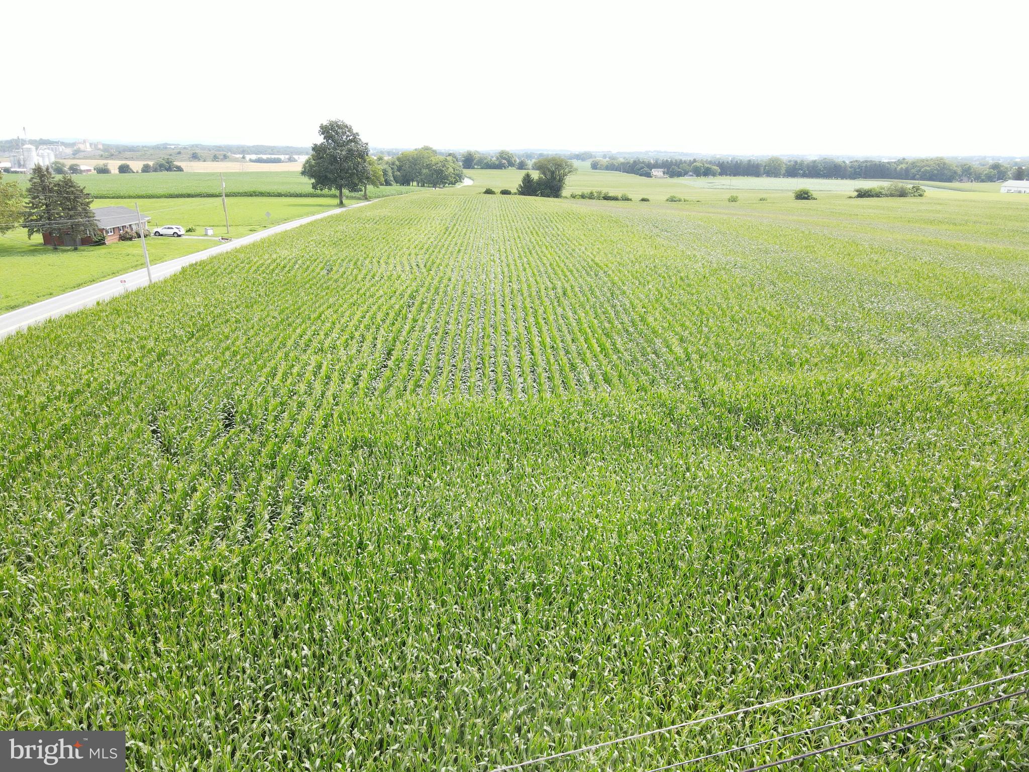 NONE AVAILABLE - Farm