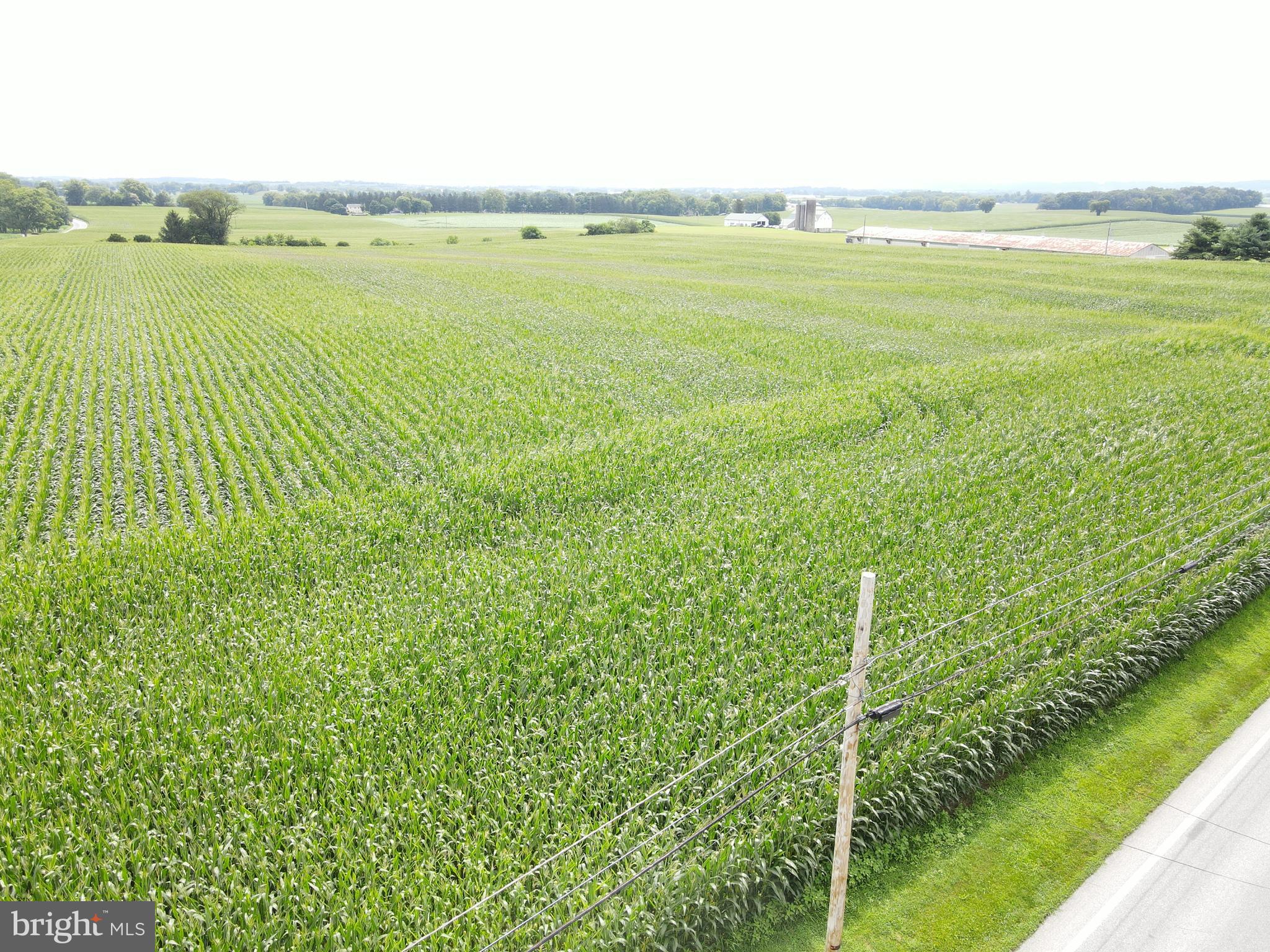 NONE AVAILABLE - Farm