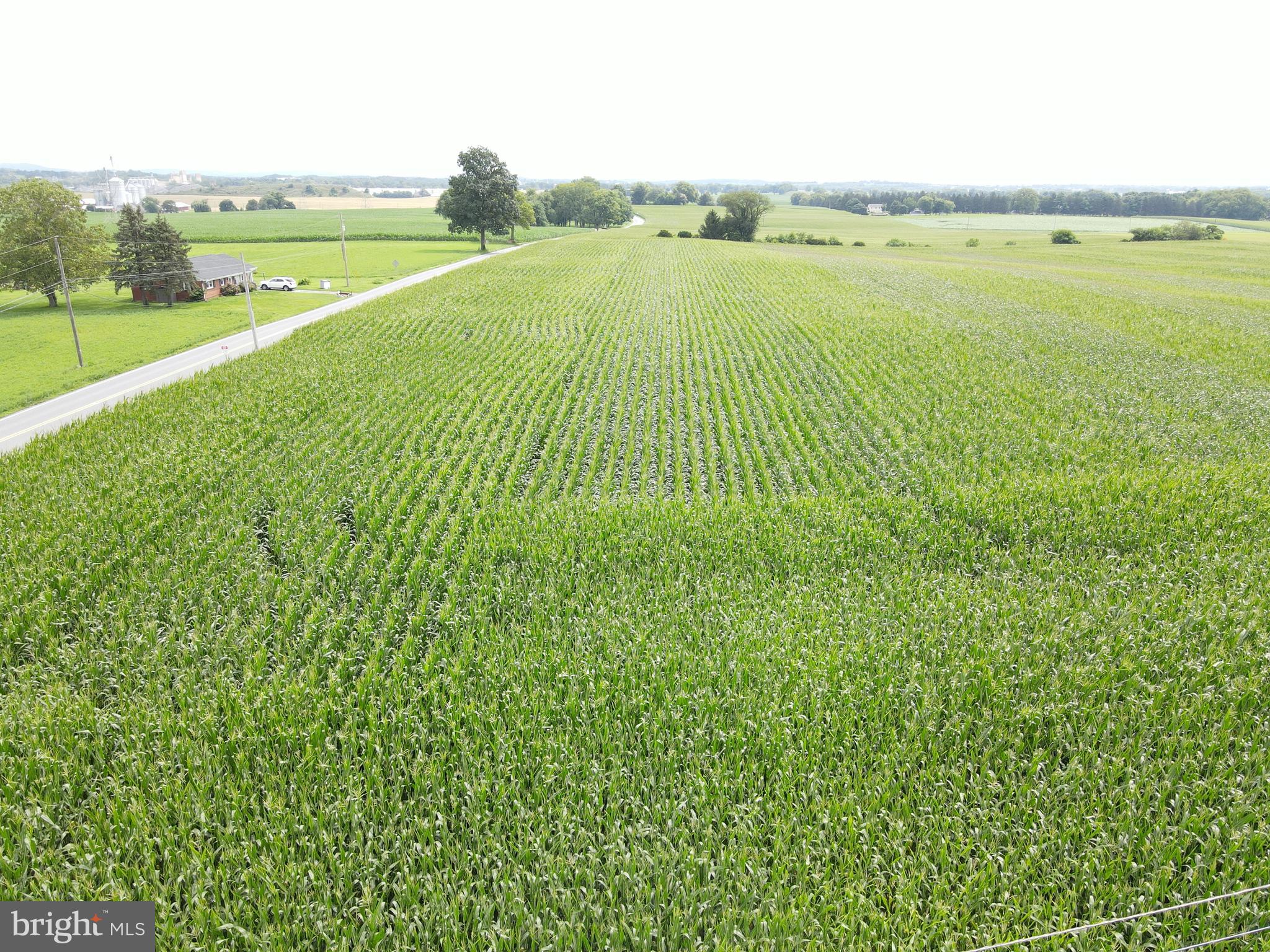 NONE AVAILABLE - Farm