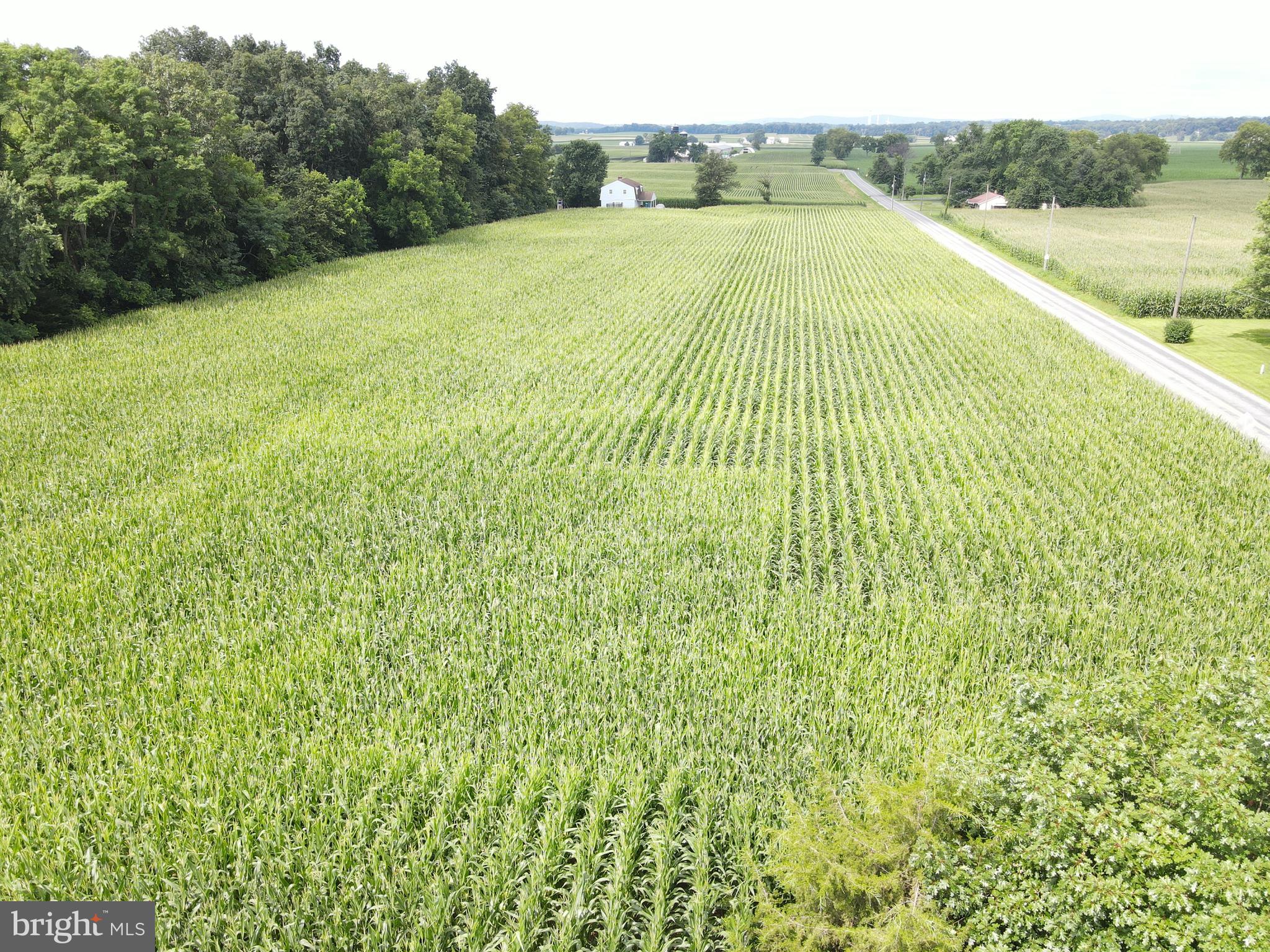 NONE AVAILABLE - Farm