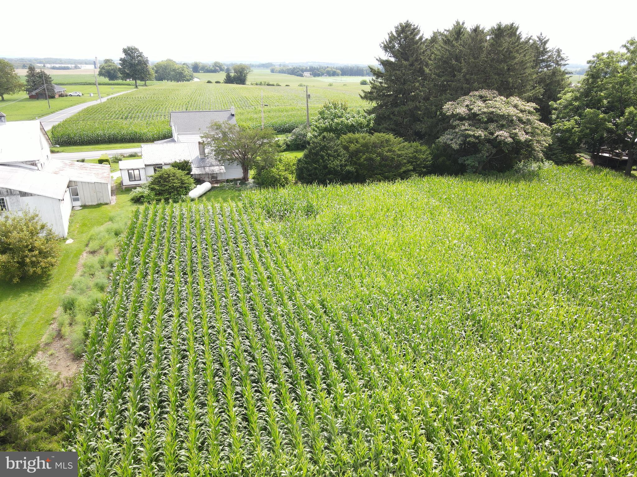 NONE AVAILABLE - Farm