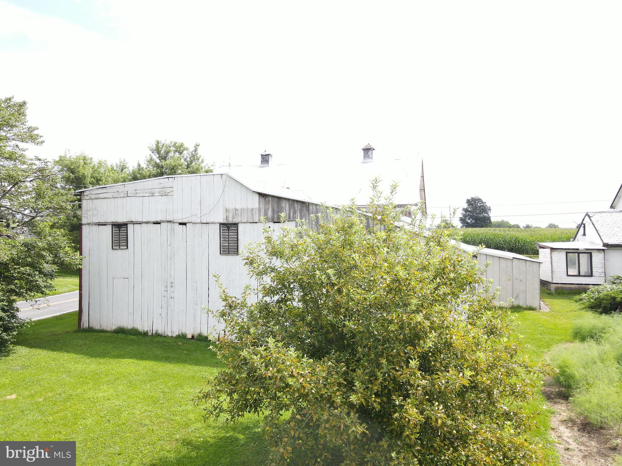 NONE AVAILABLE - Farm