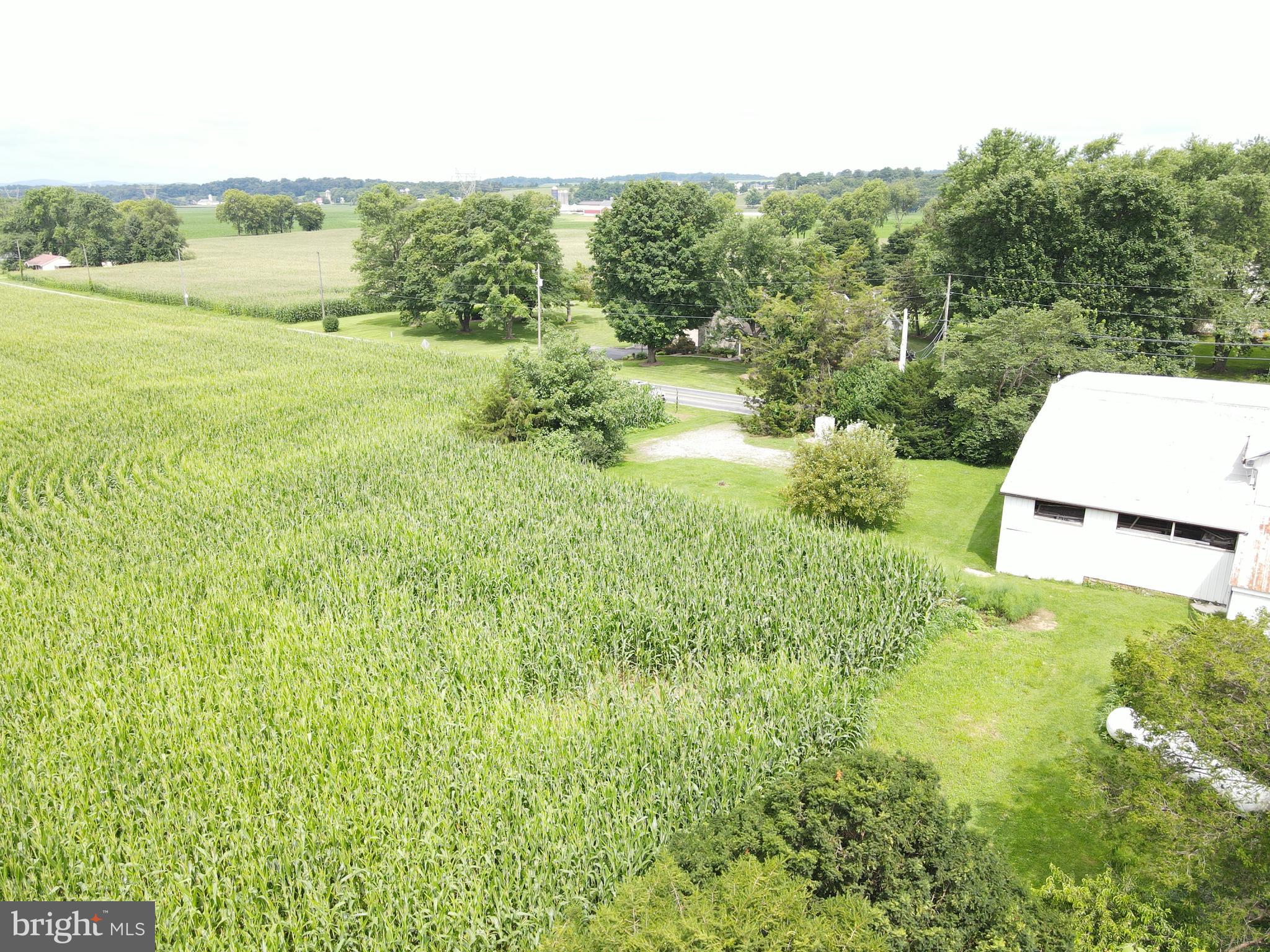 NONE AVAILABLE - Farm