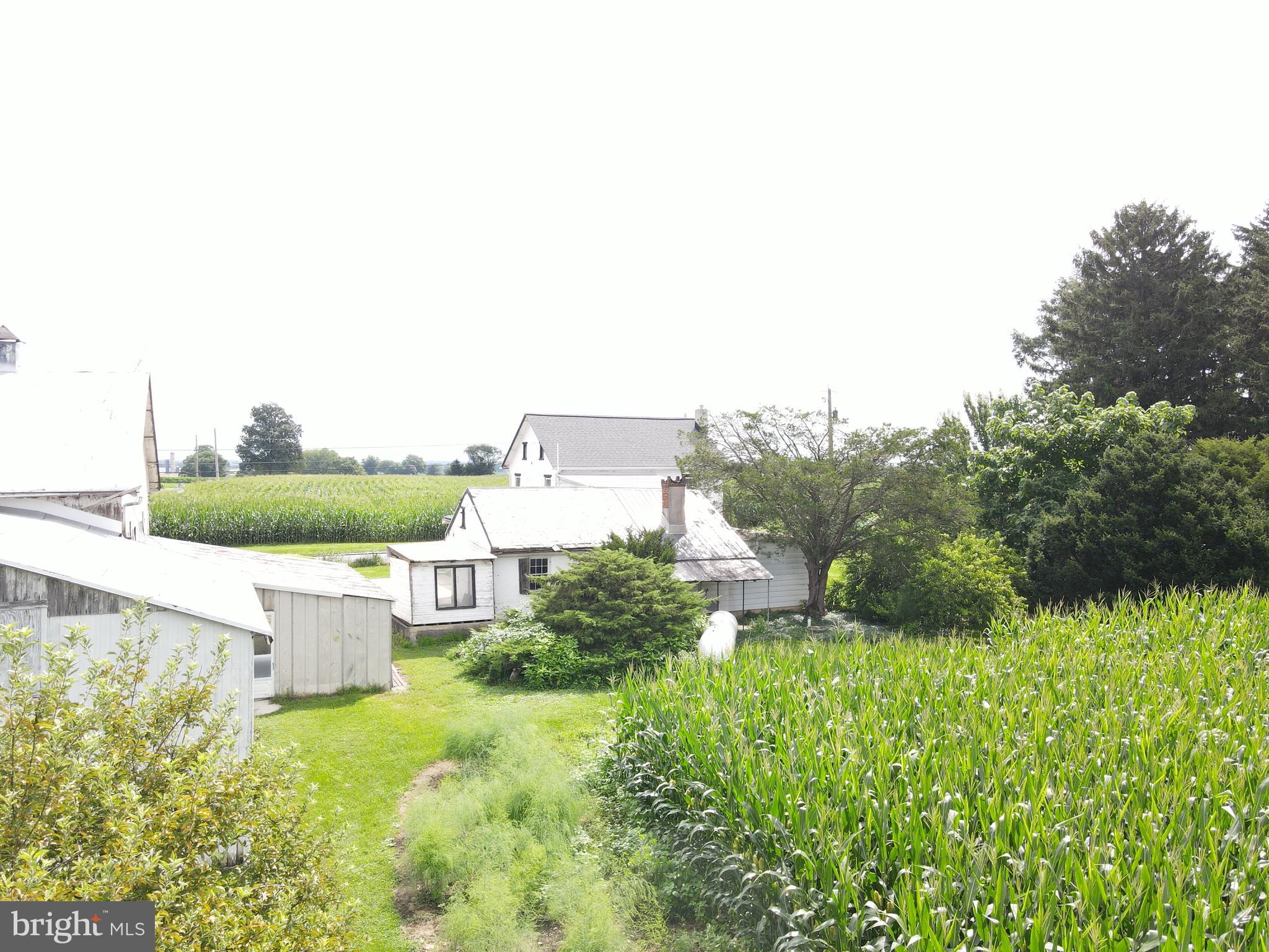 NONE AVAILABLE - Farm