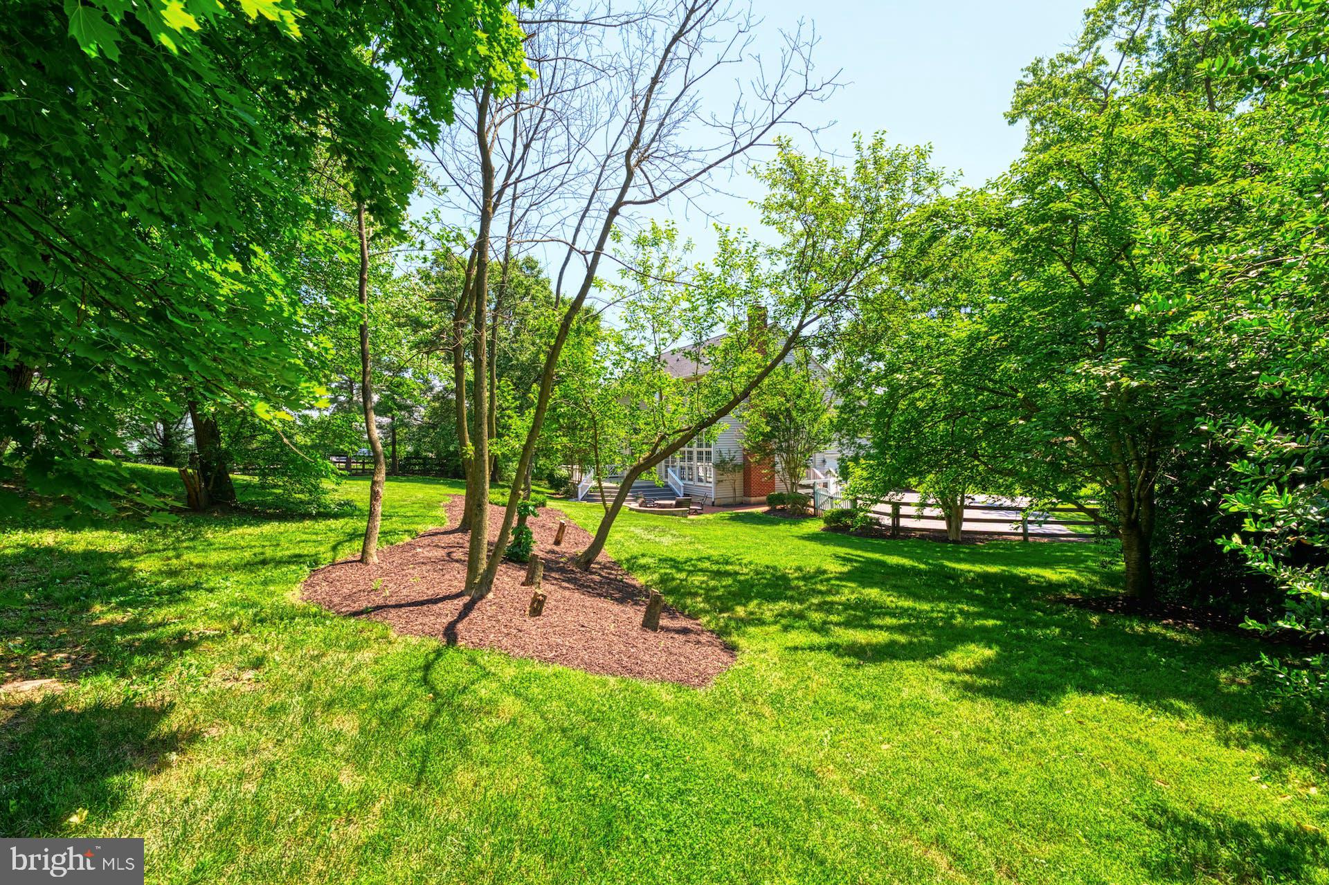 PINEY RUN MEADOW - Residential