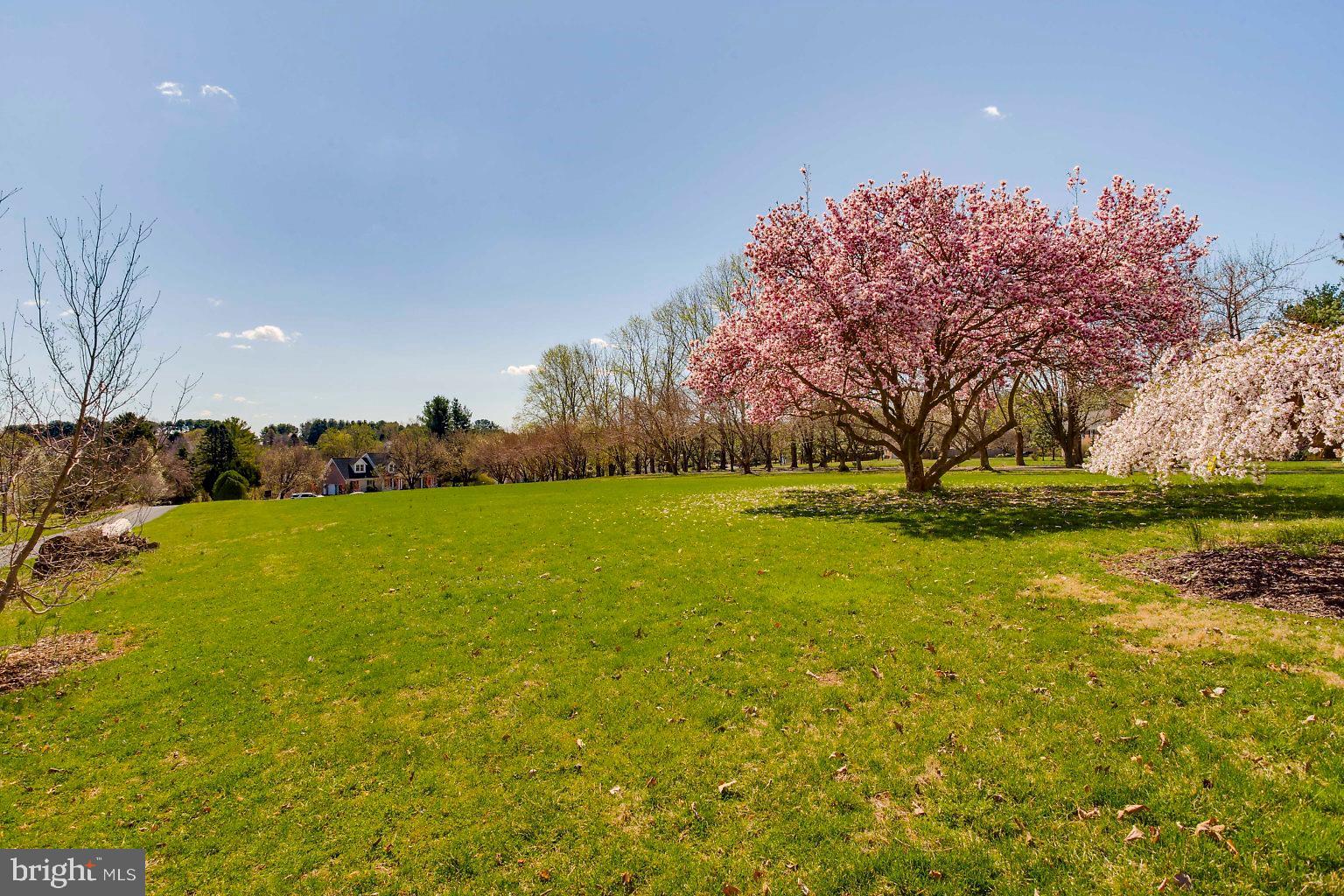 FRANKLINS CHANCE - Residential