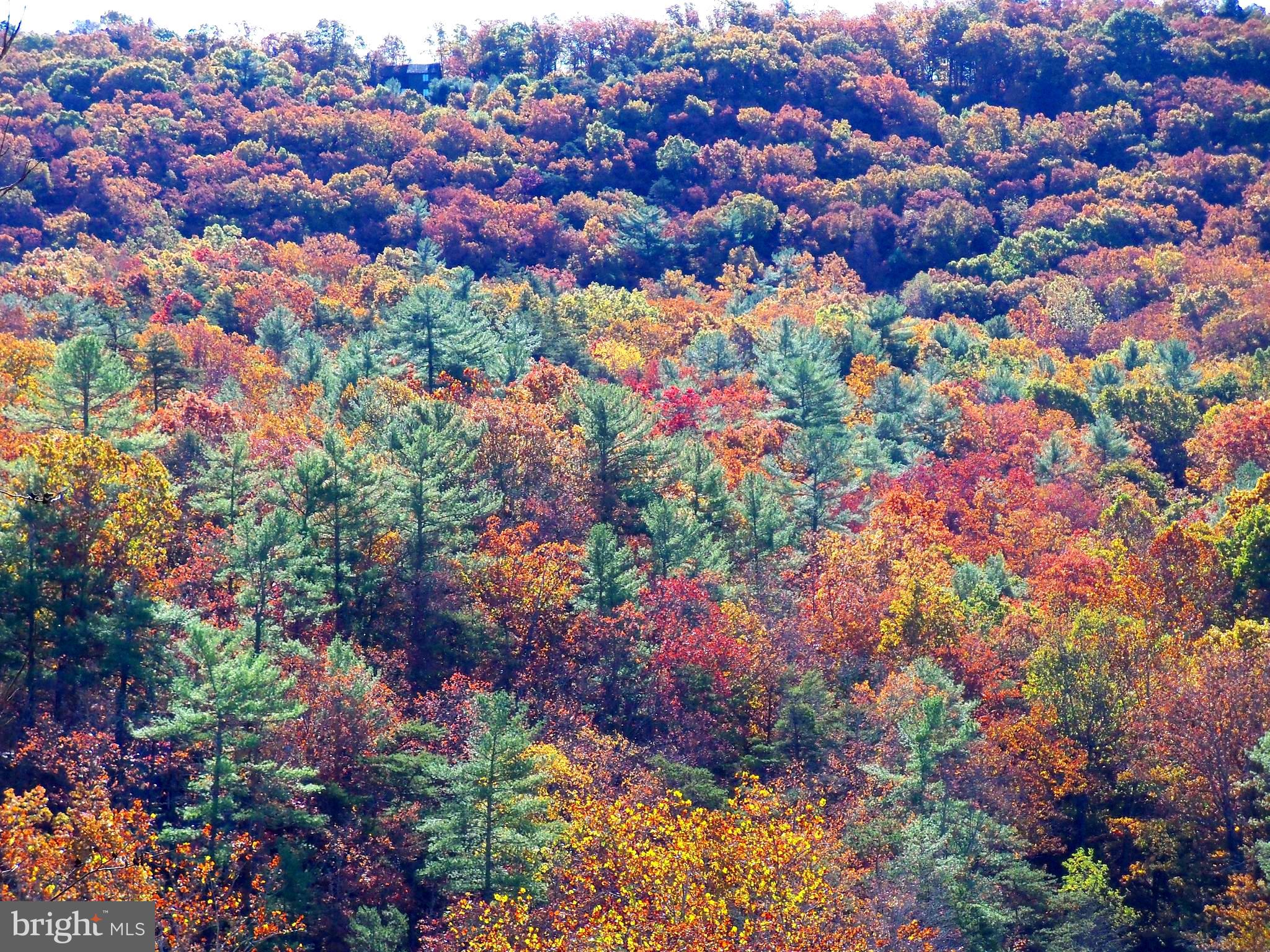 SHENANDOAH COUNTY - Residential
