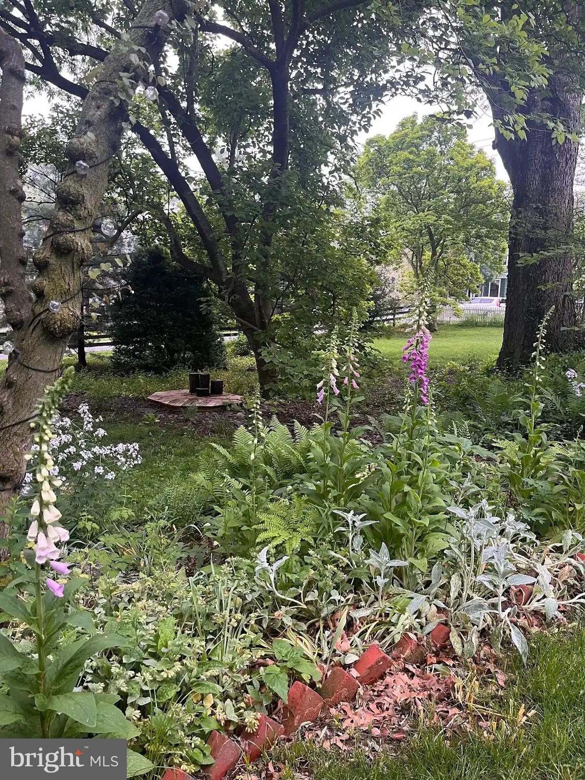 SHEPHERDSTOWN CORPORATION - Residential