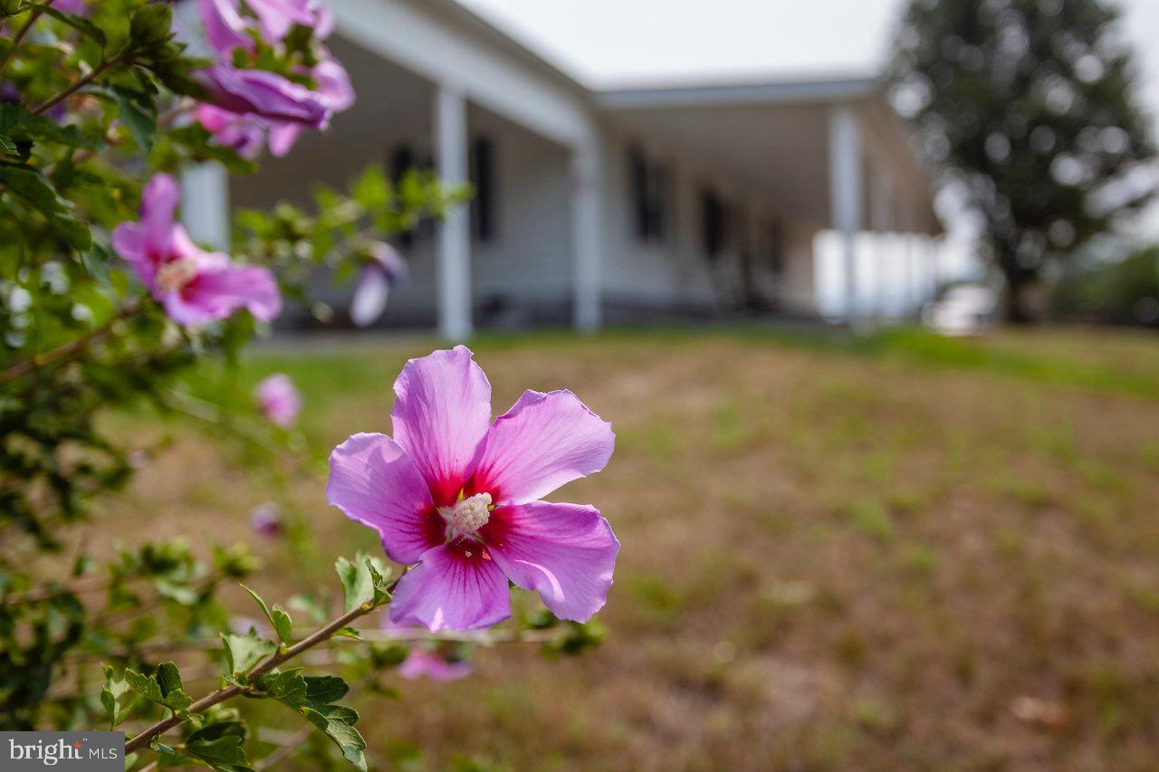 HONEYVILLE - Residential