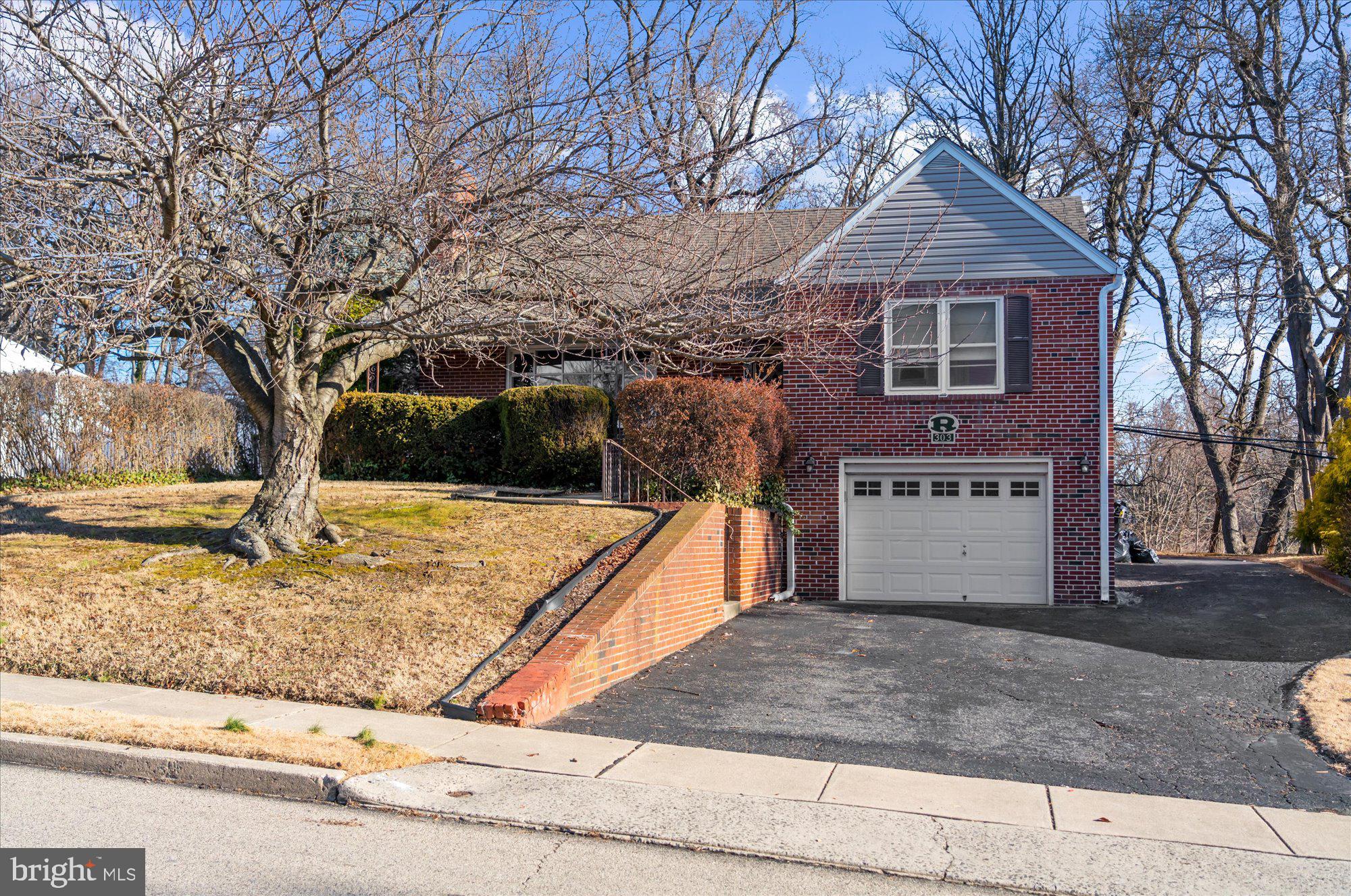 RIDLEY PARK - Residential