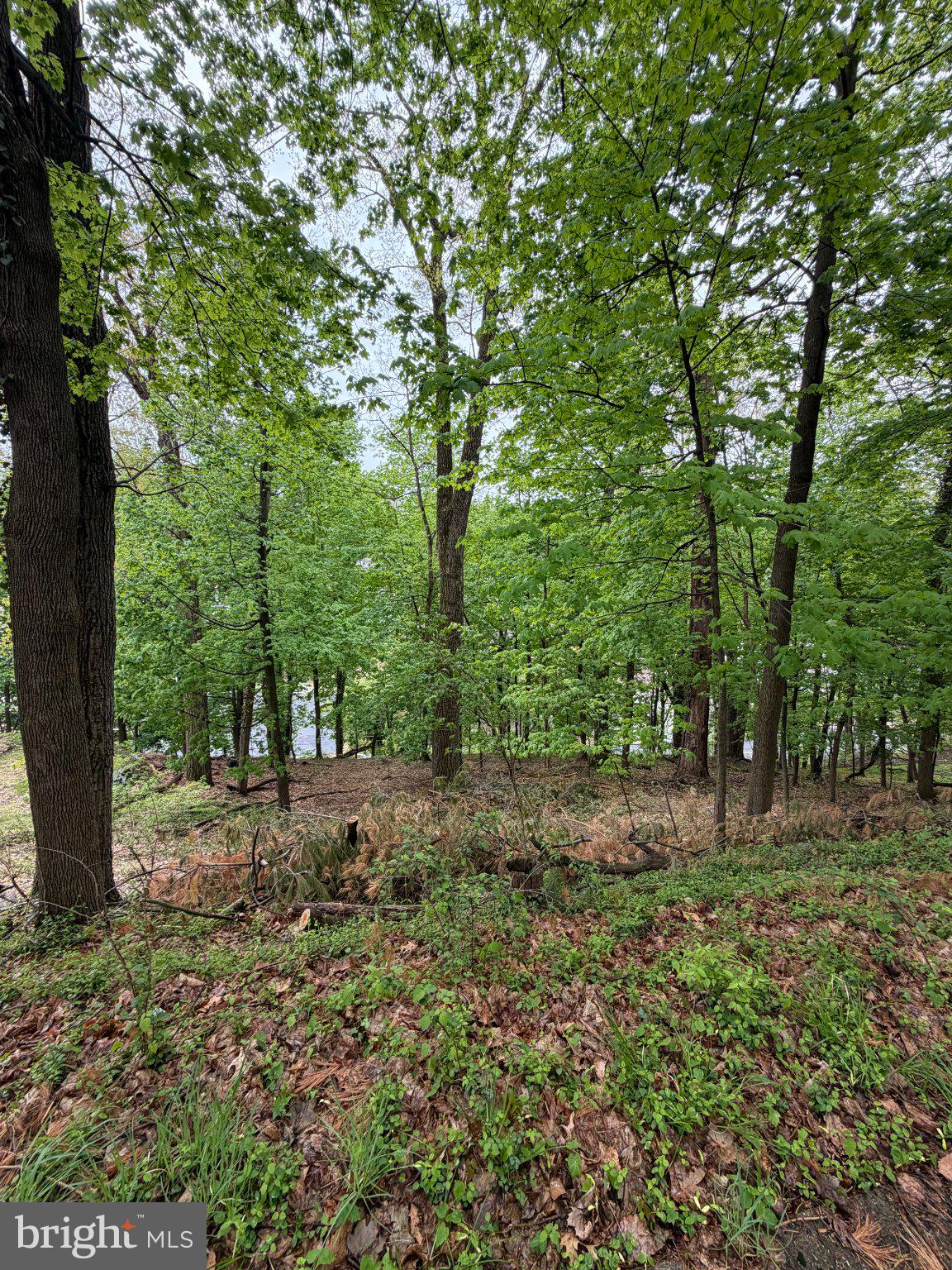 1707 MINERAL SPRING ROAD