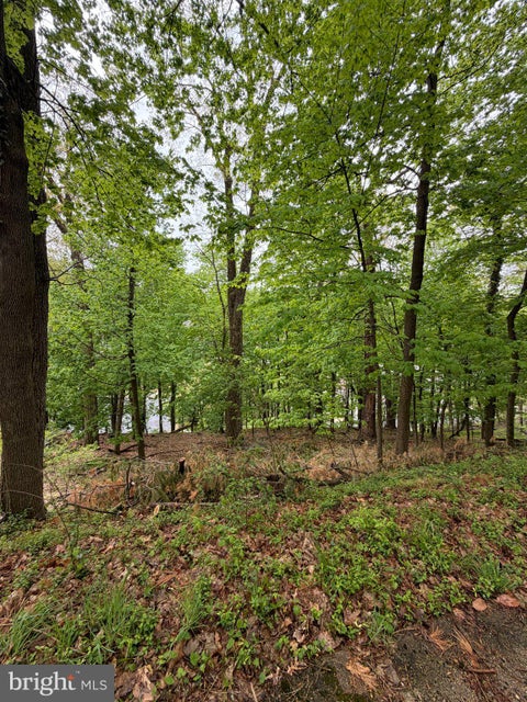 Vacant Land For Sale - 1707 Mineral Spring Road<br/> READING, PA 19602