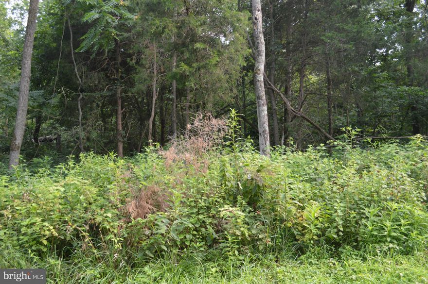 Nice wooded lot in a great location.  Just outside of Shepherdstown, Potomac River Access, 4 bed Perk and well permit on file. Ready for someone to build their dream home!