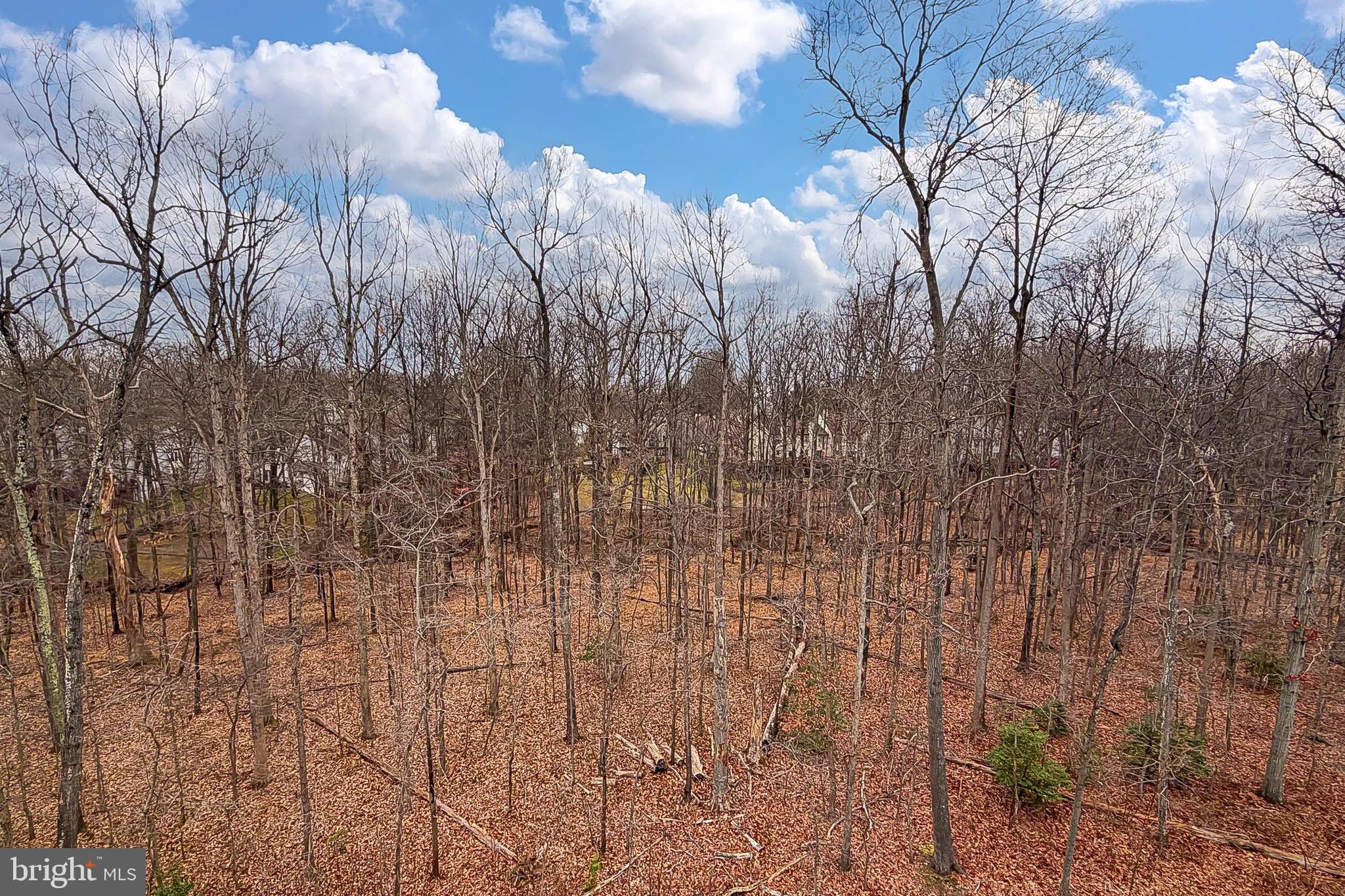 THE TOWNS AT PENDER OAKS - Residential