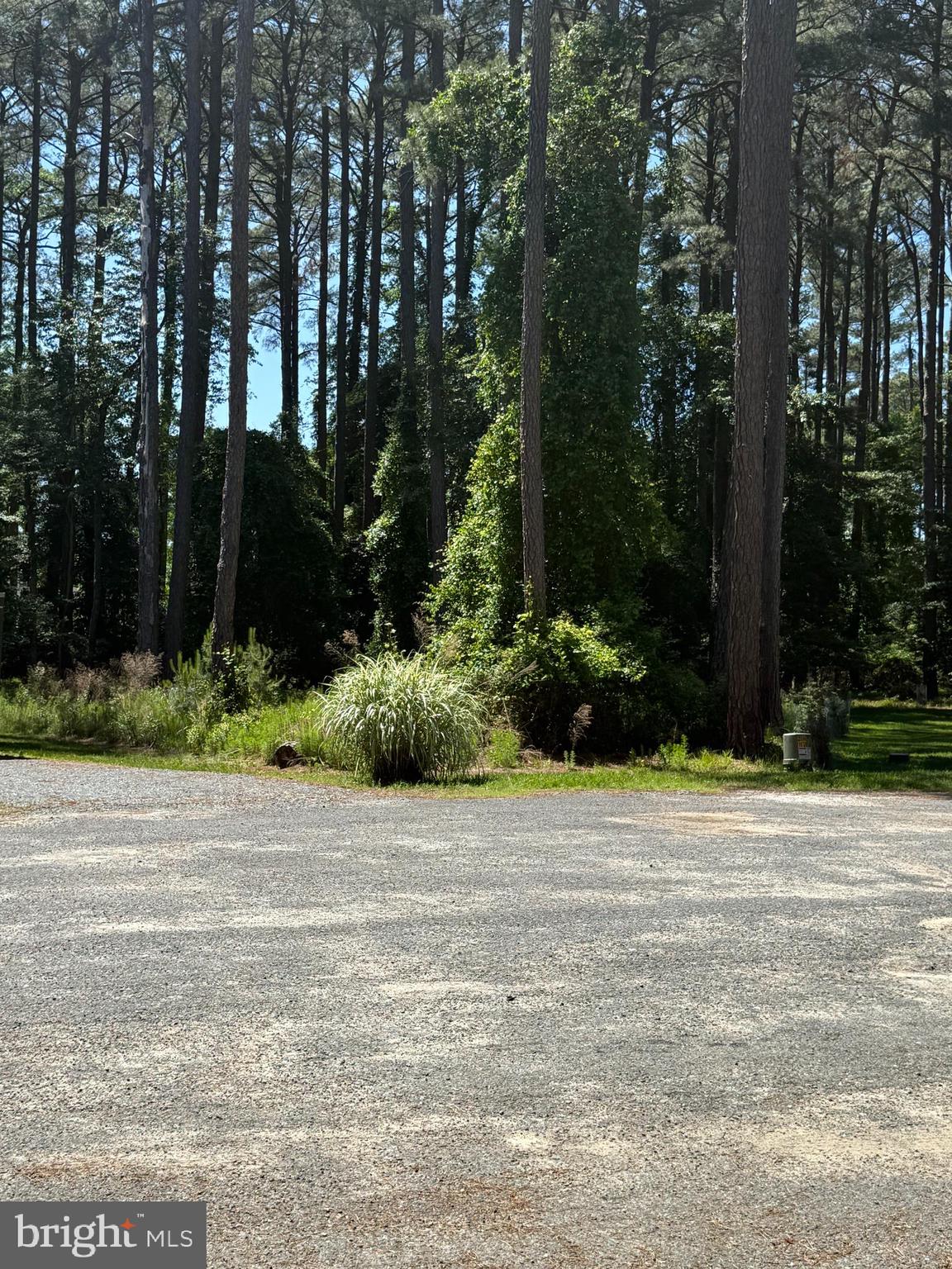 Lot #521 DINGY COURT