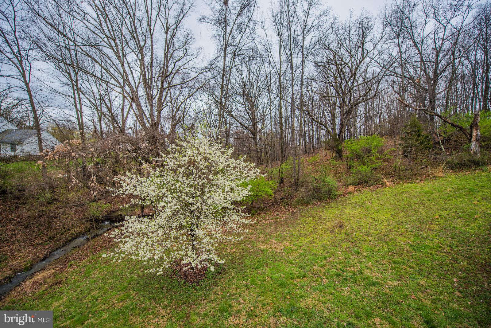 OPEQUON MEADOWS - Residential