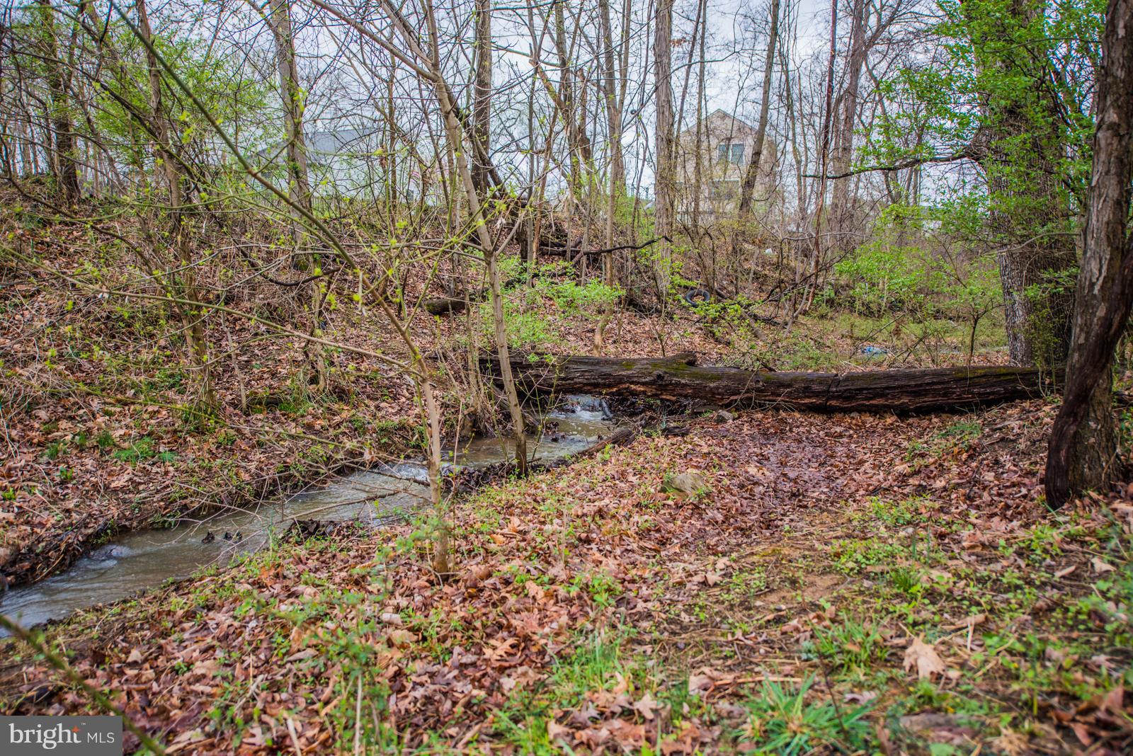 OPEQUON MEADOWS - Residential