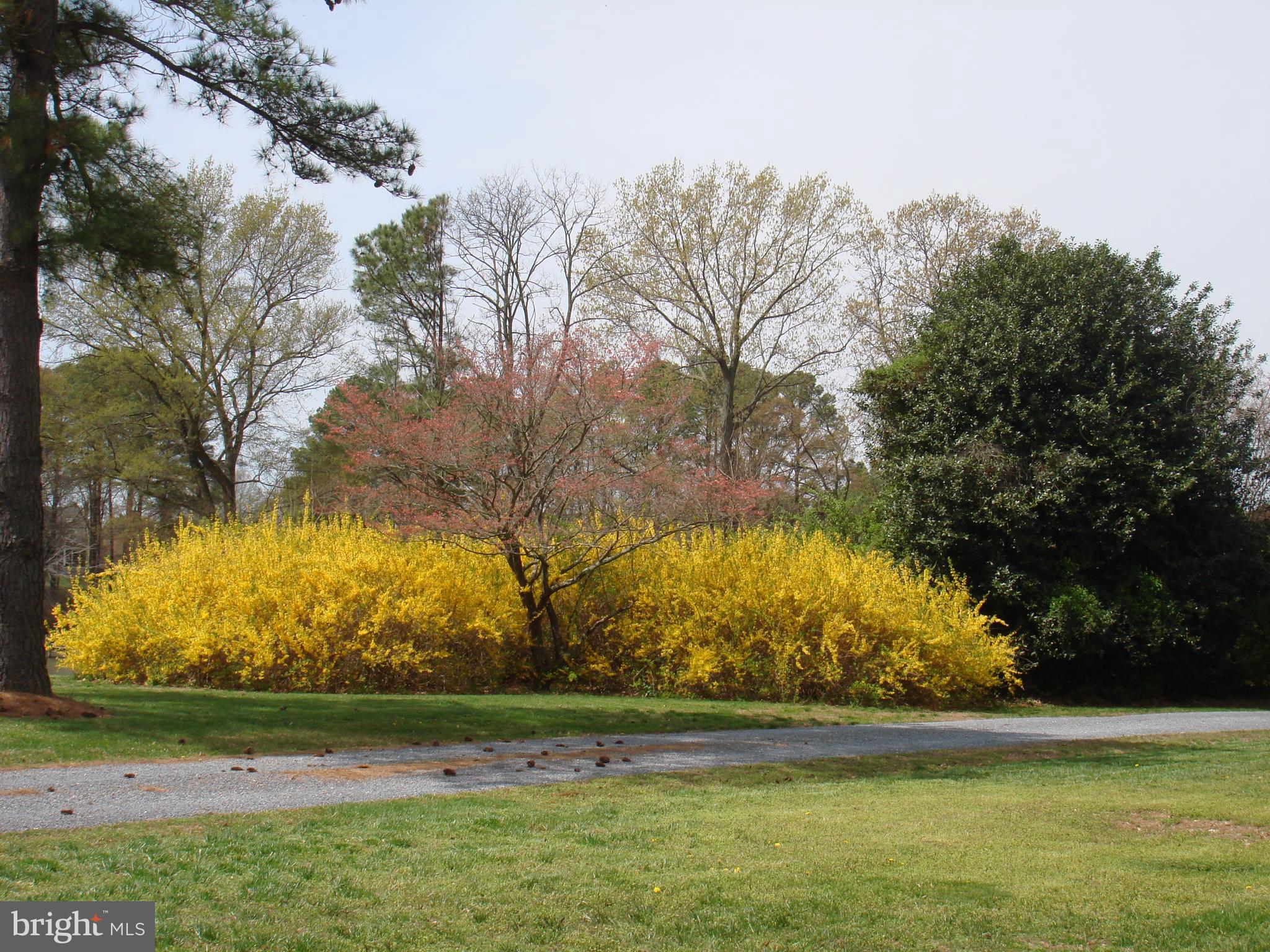 RECOVERY - Residential