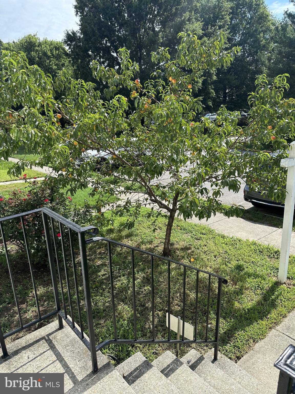 HEATHER GLEN - Residential