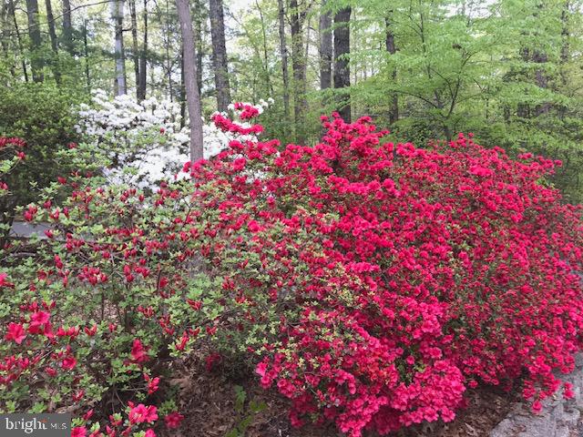 GAILA WOODS - Residential